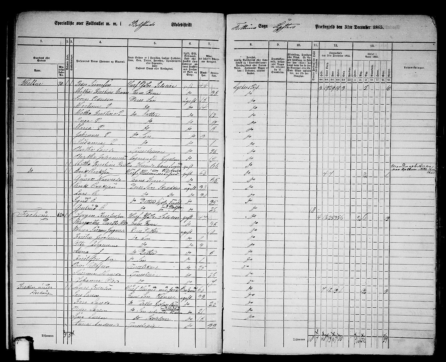 RA, 1865 census for Luster, 1865, p. 10