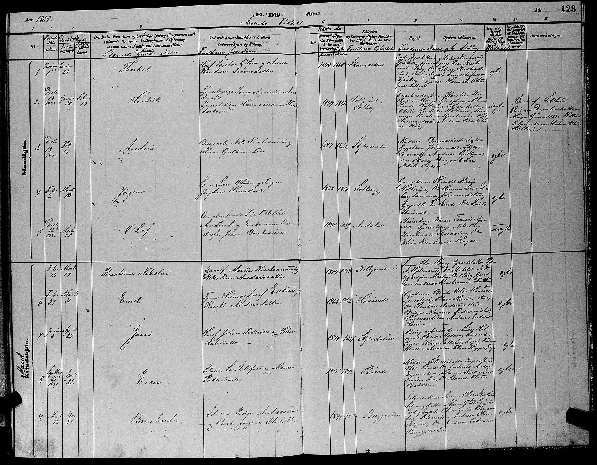 Hole kirkebøker, AV/SAKO-A-228/G/Gb/L0002: Parish register (copy) no. II 2, 1878-1889, p. 123