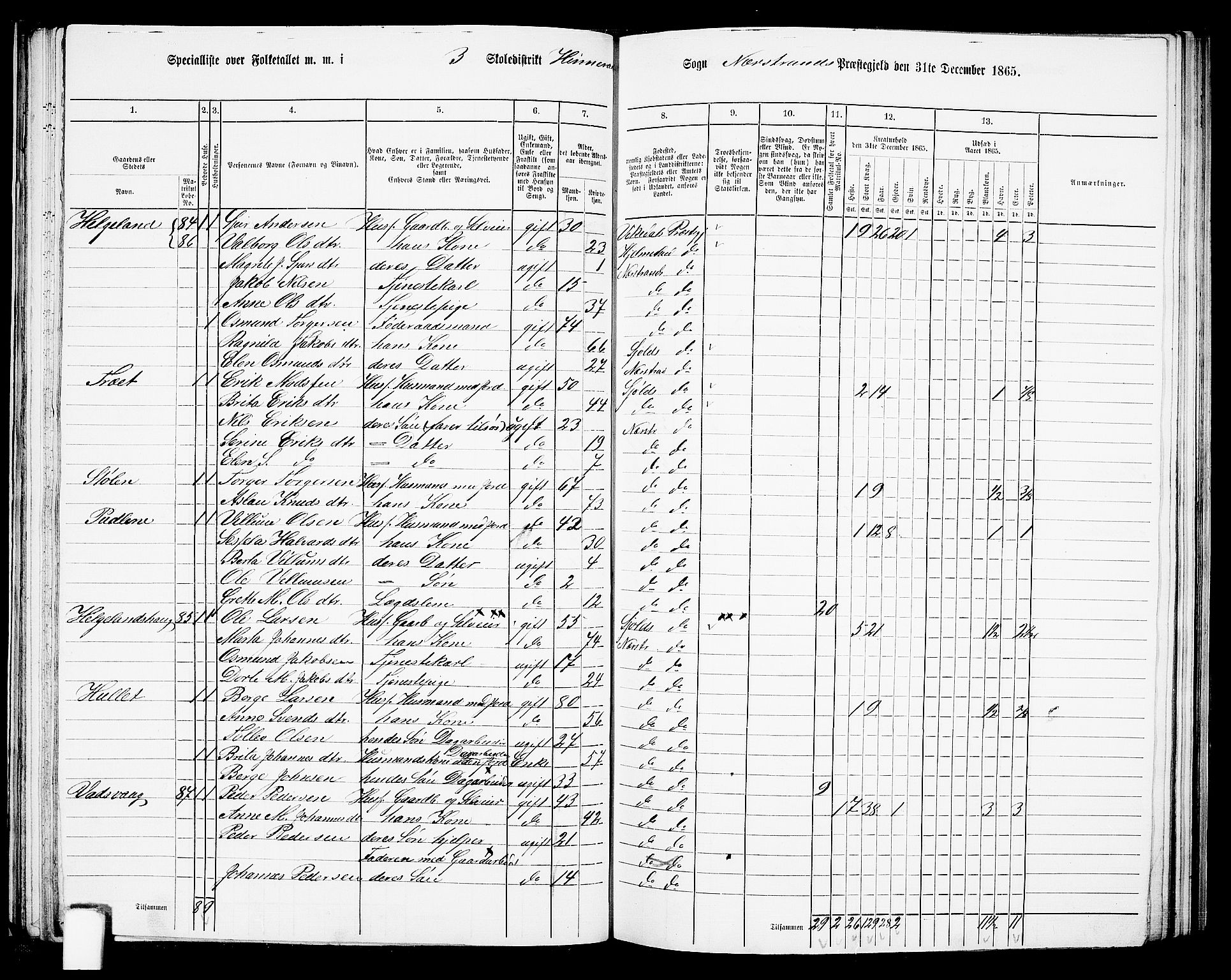 RA, 1865 census for Nedstrand, 1865, p. 52