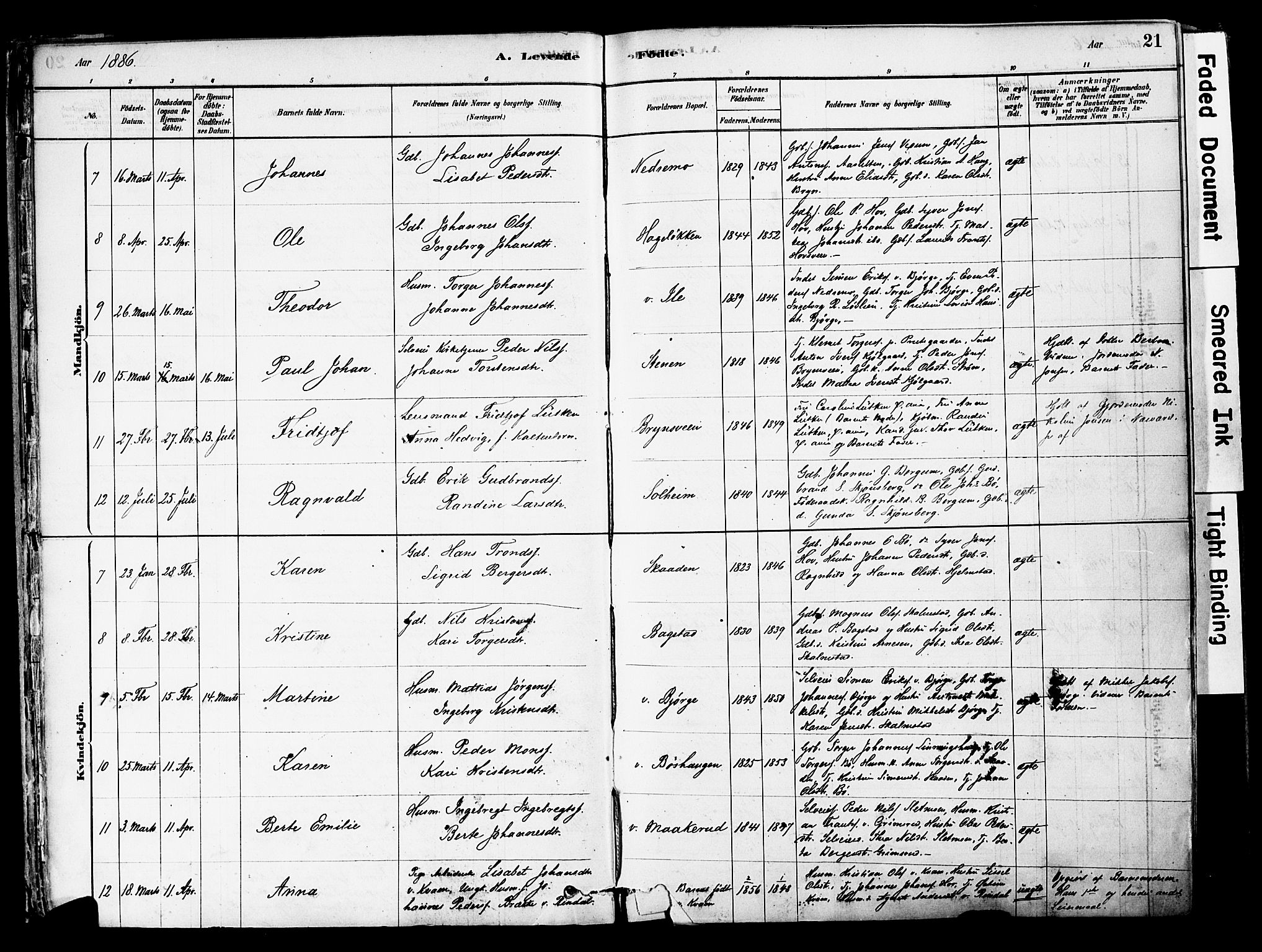 Øyer prestekontor, SAH/PREST-084/H/Ha/Haa/L0008: Parish register (official) no. 8, 1878-1897, p. 21