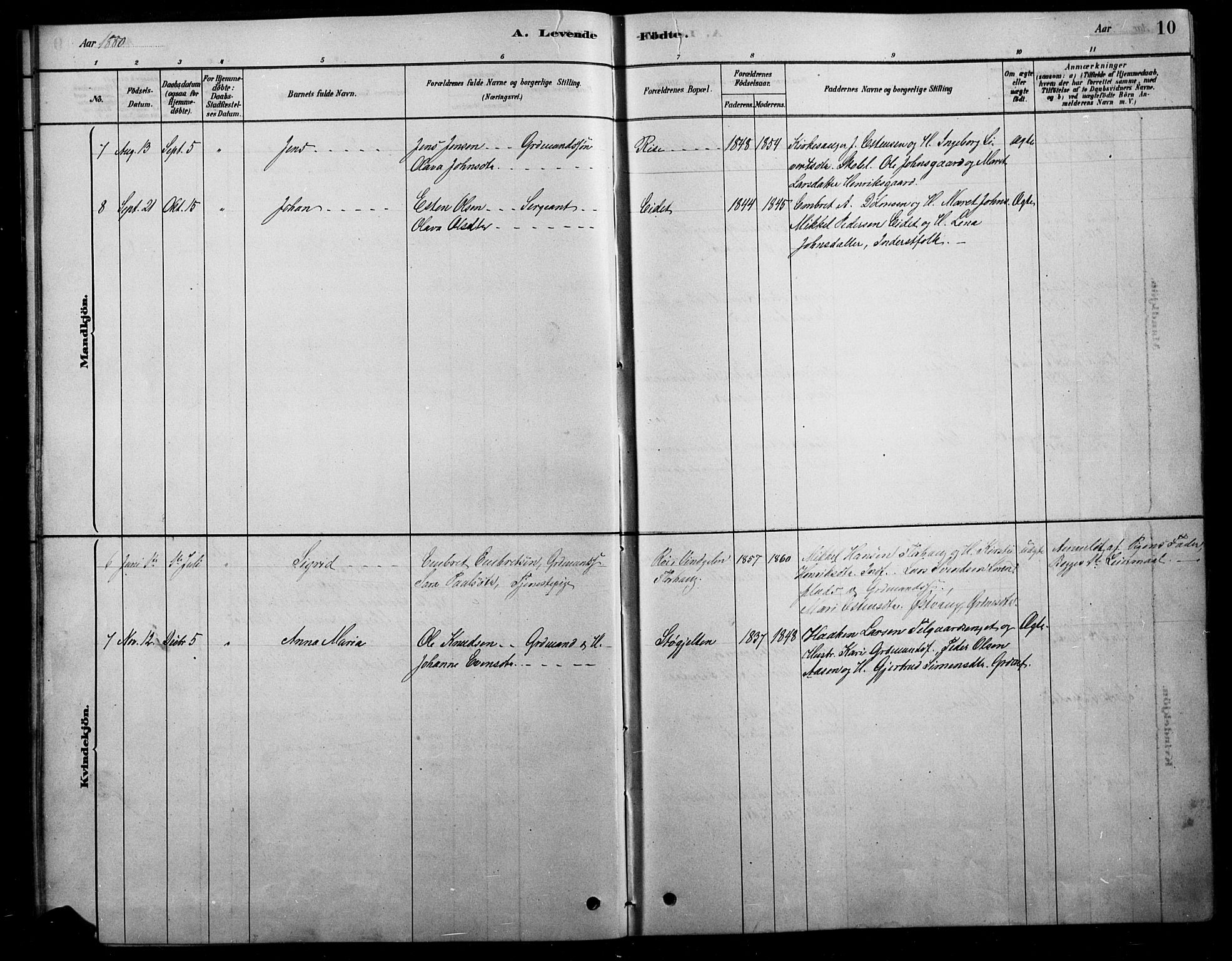 Tolga prestekontor, SAH/PREST-062/L/L0007: Parish register (copy) no. 7, 1878-1919, p. 10