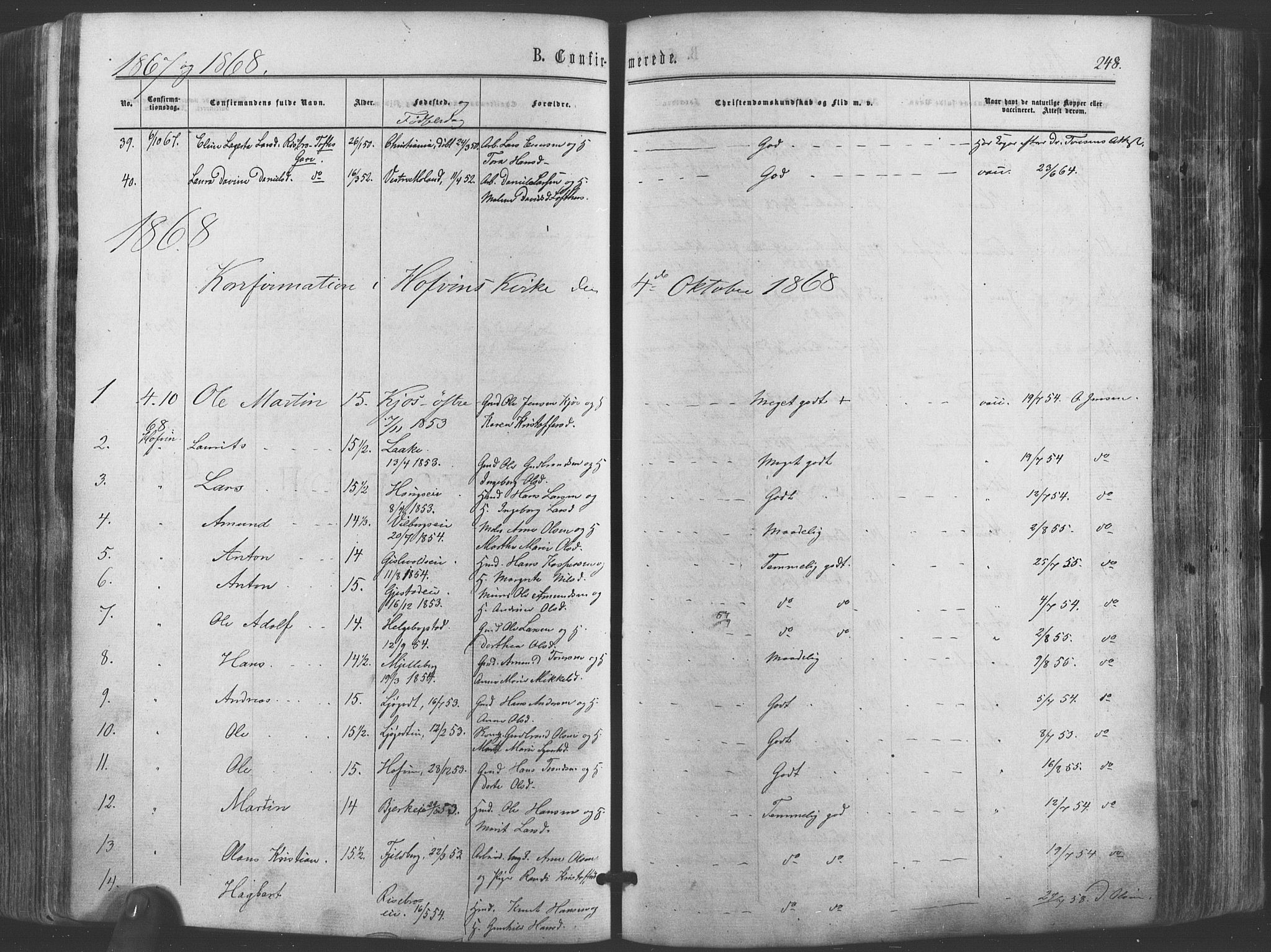 Ullensaker prestekontor Kirkebøker, SAO/A-10236a/F/Fa/L0016: Parish register (official) no. I 16, 1863-1875, p. 248