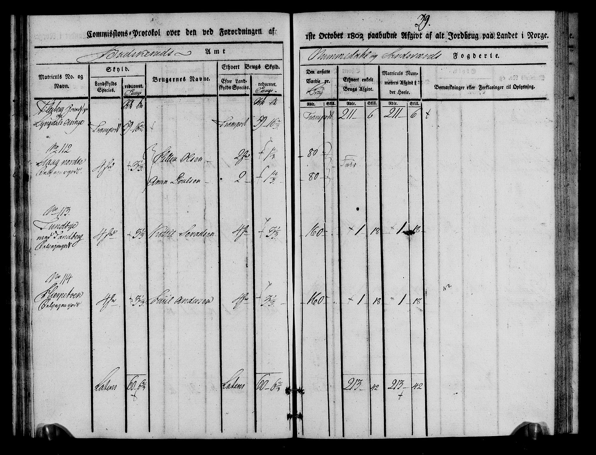 Rentekammeret inntil 1814, Realistisk ordnet avdeling, AV/RA-EA-4070/N/Ne/Nea/L0055: Numedal og Sandsvær fogderi. Kommisjonsprotokoll for Flesberg prestegjeld, 1803, p. 40