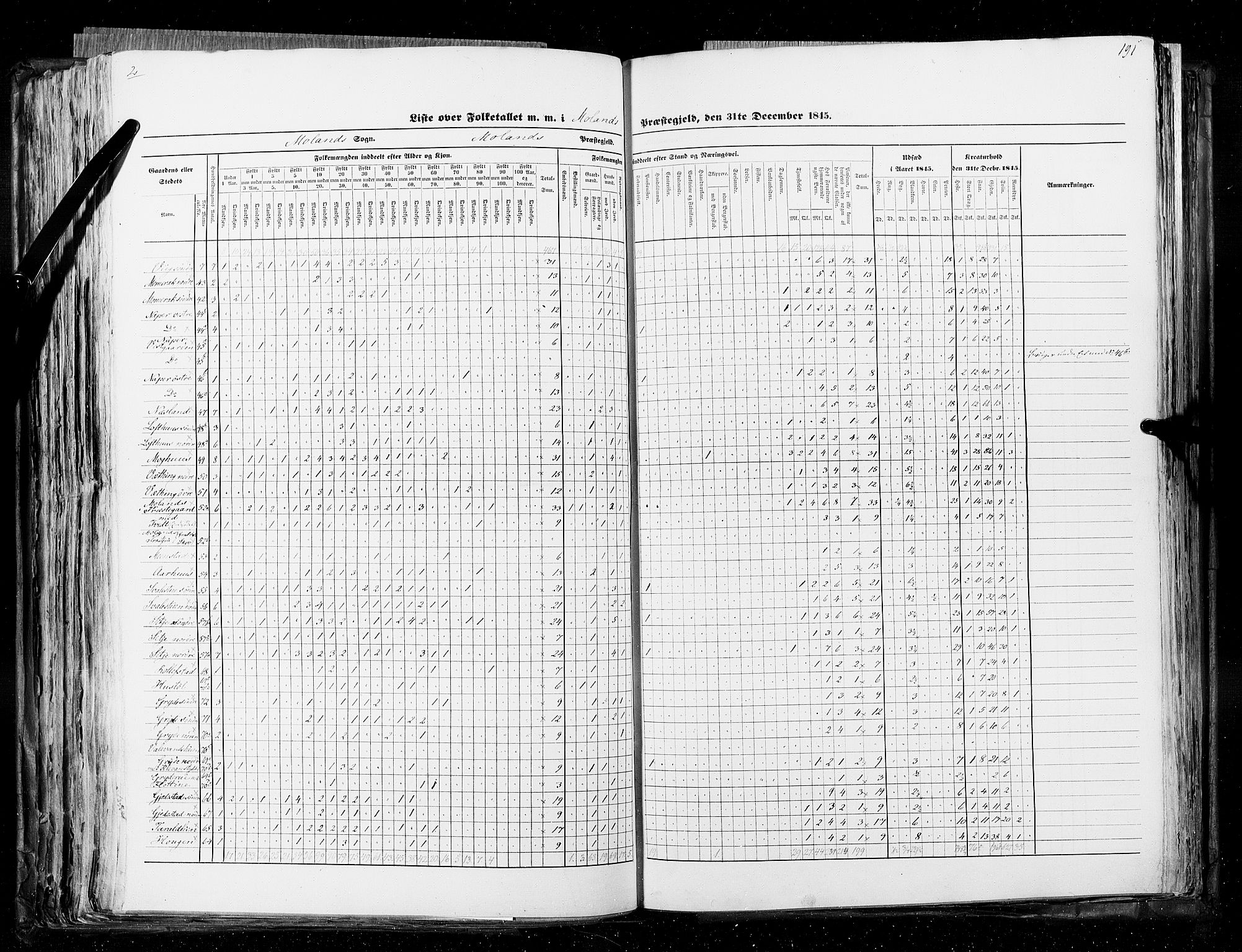 RA, Census 1845, vol. 5: Bratsberg amt og Nedenes og Råbyggelaget amt, 1845, p. 191