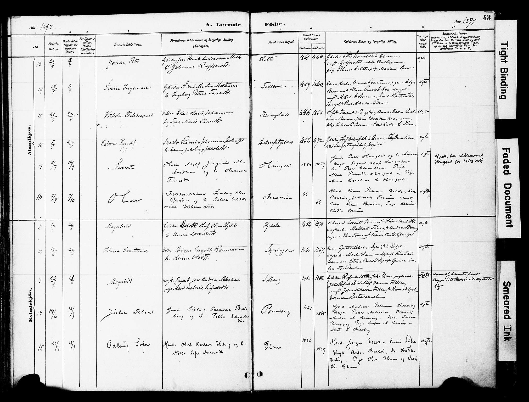 Ministerialprotokoller, klokkerbøker og fødselsregistre - Nord-Trøndelag, AV/SAT-A-1458/741/L0396: Parish register (official) no. 741A10, 1889-1901, p. 43