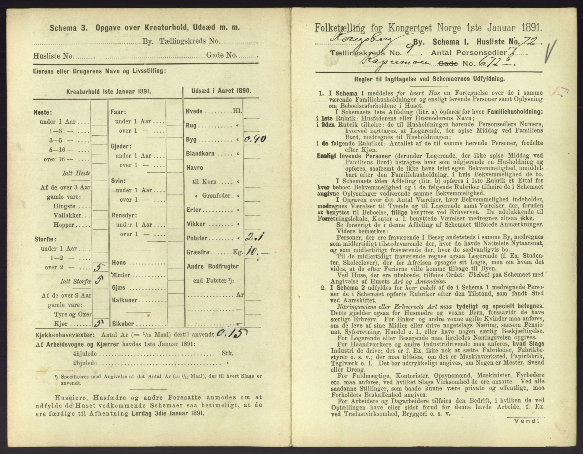 RA, 1891 census for 0604 Kongsberg, 1891, p. 1363