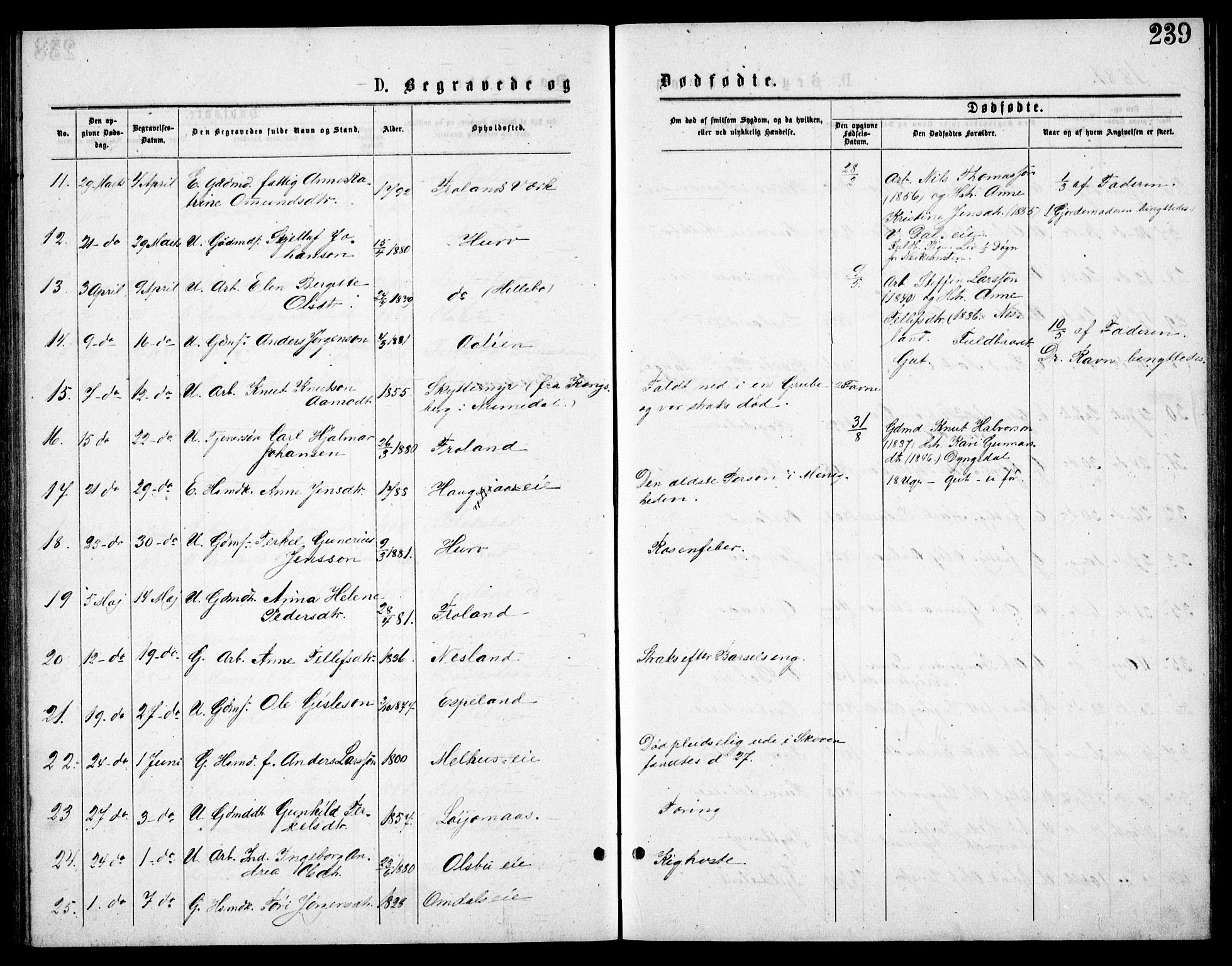 Froland sokneprestkontor, AV/SAK-1111-0013/F/Fb/L0009: Parish register (copy) no. B 9, 1875-1893, p. 239