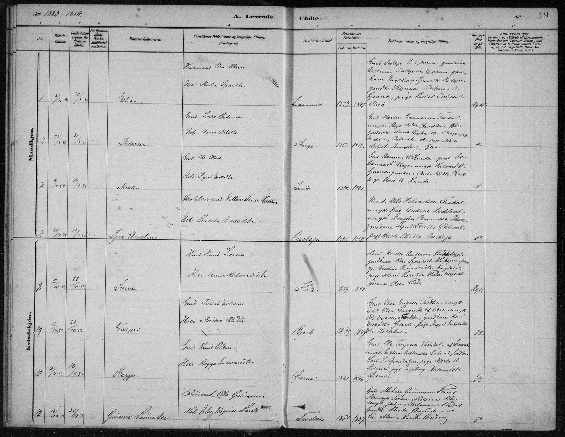 Etne sokneprestembete, AV/SAB-A-75001/H/Haa: Parish register (official) no. D  1, 1879-1919, p. 19