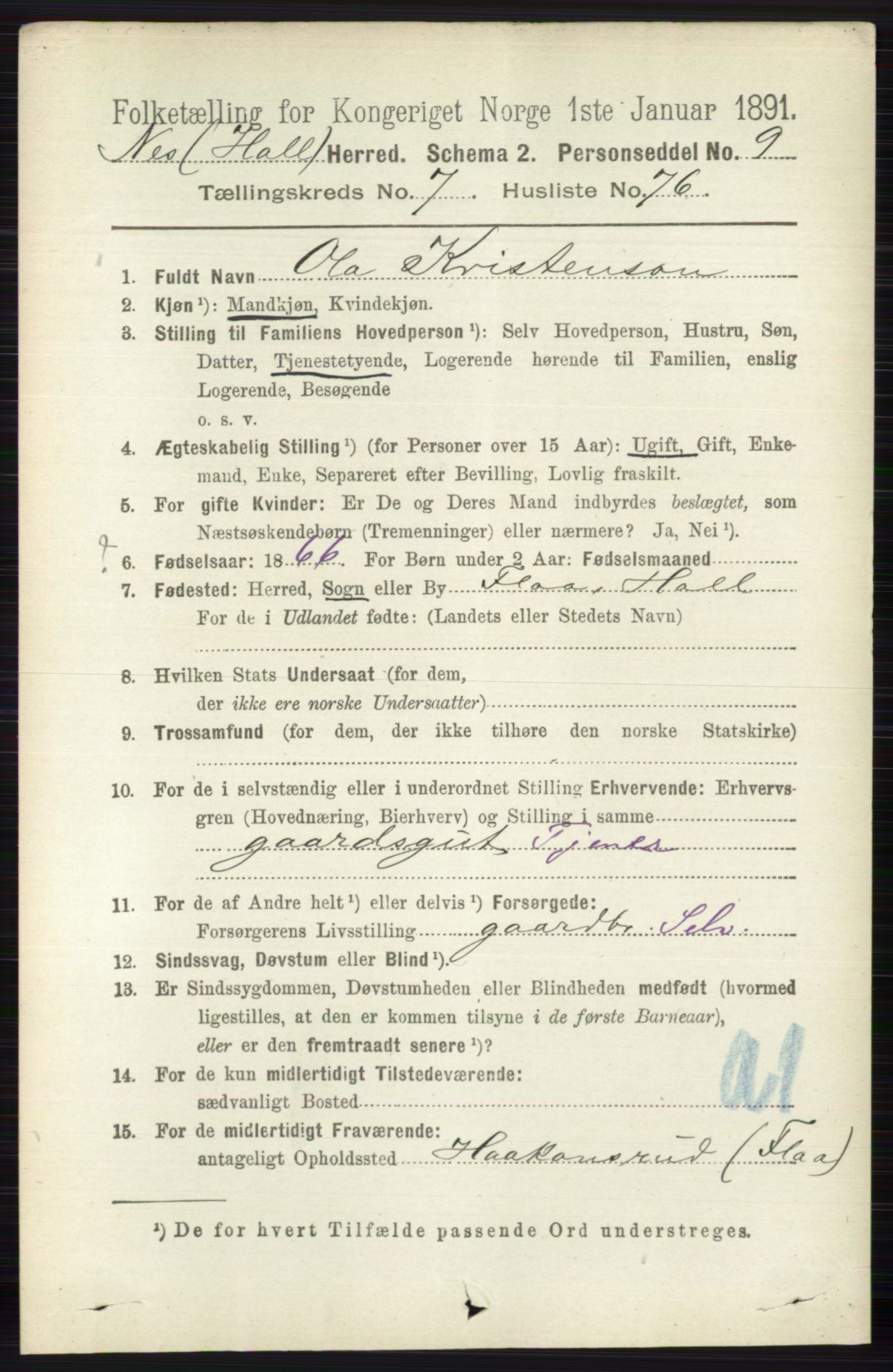 RA, 1891 census for 0616 Nes, 1891, p. 4042