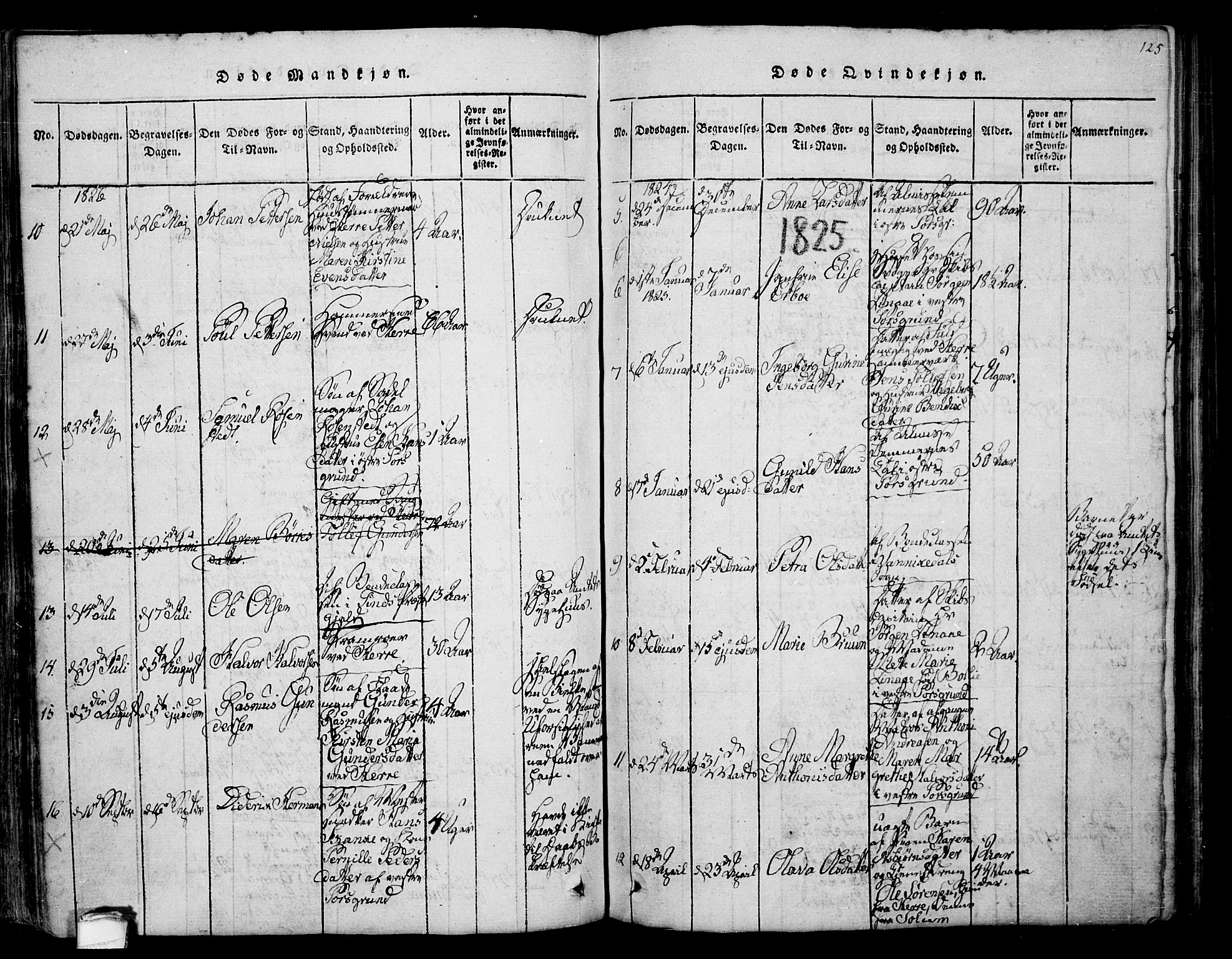 Porsgrunn kirkebøker , AV/SAKO-A-104/F/Fa/L0004: Parish register (official) no. 4, 1814-1828, p. 125