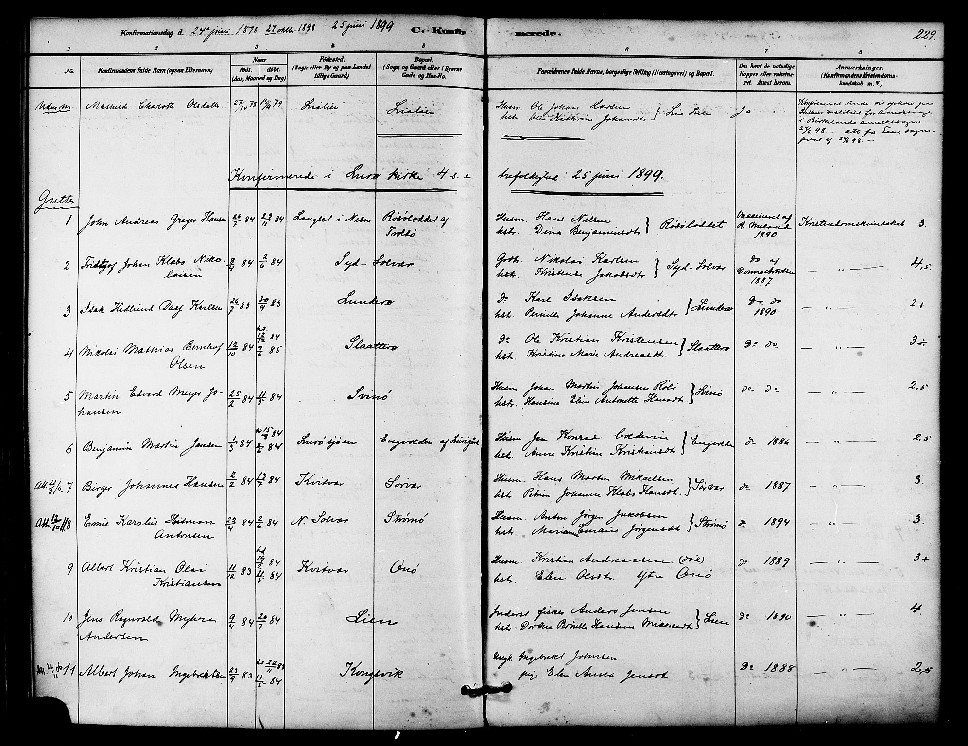Ministerialprotokoller, klokkerbøker og fødselsregistre - Nordland, SAT/A-1459/839/L0568: Parish register (official) no. 839A05, 1880-1902, p. 229