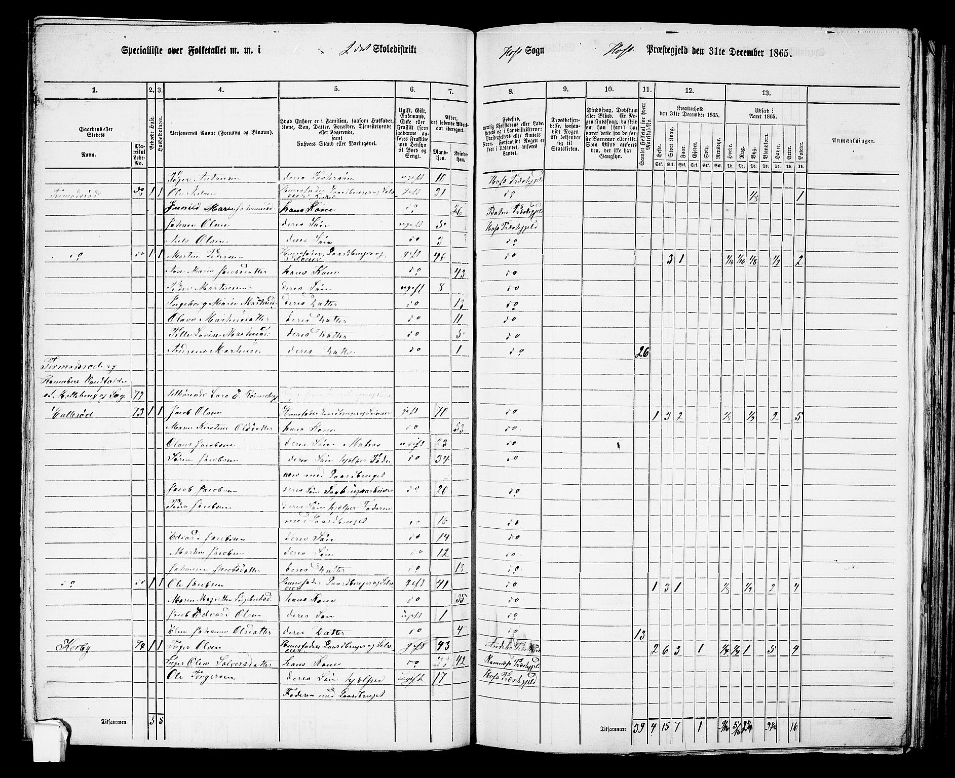 RA, 1865 census for Hof, 1865, p. 101