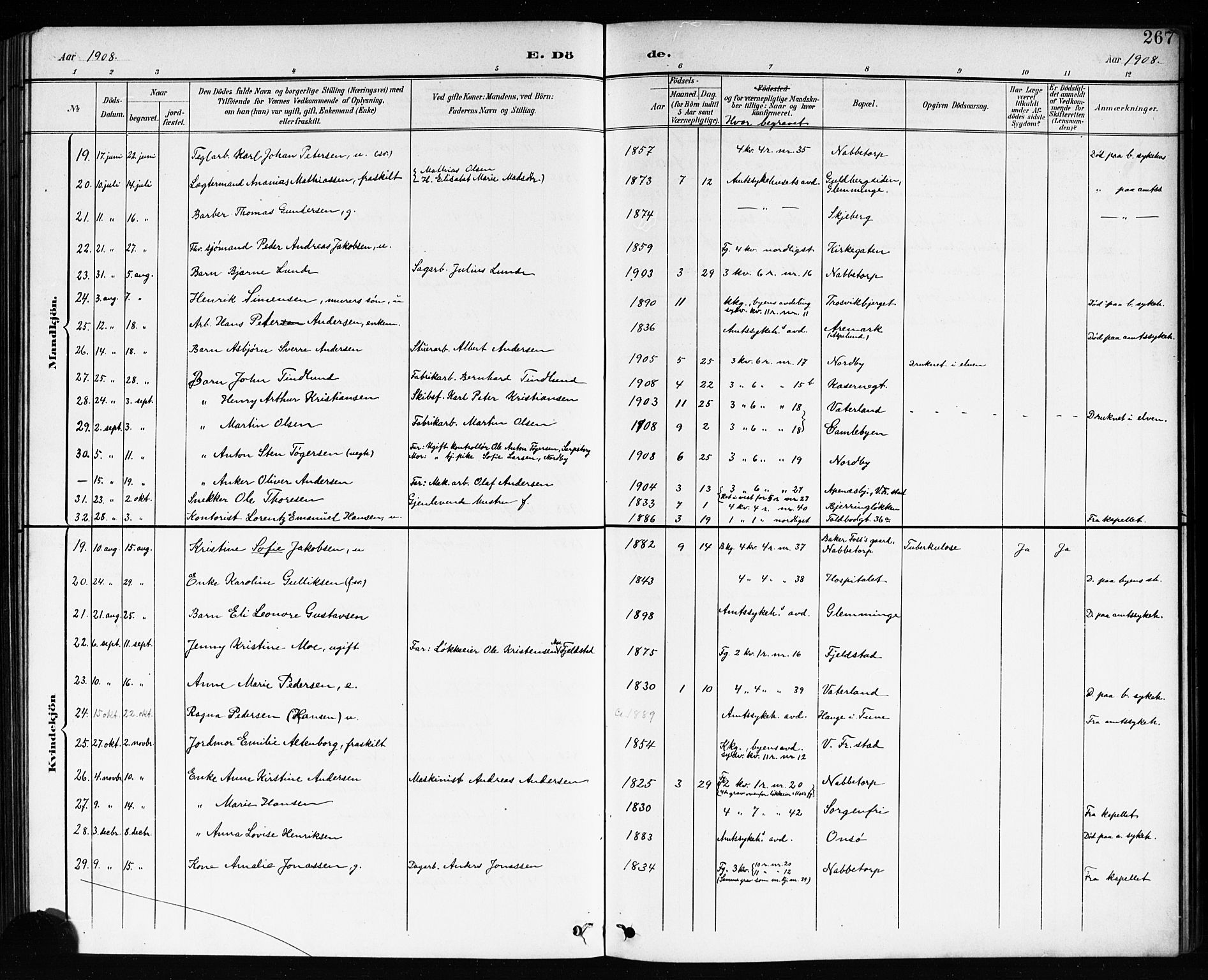 Østre Fredrikstad prestekontor Kirkebøker, AV/SAO-A-10907/G/Ga/L0002: Parish register (copy) no. 2, 1900-1919, p. 267