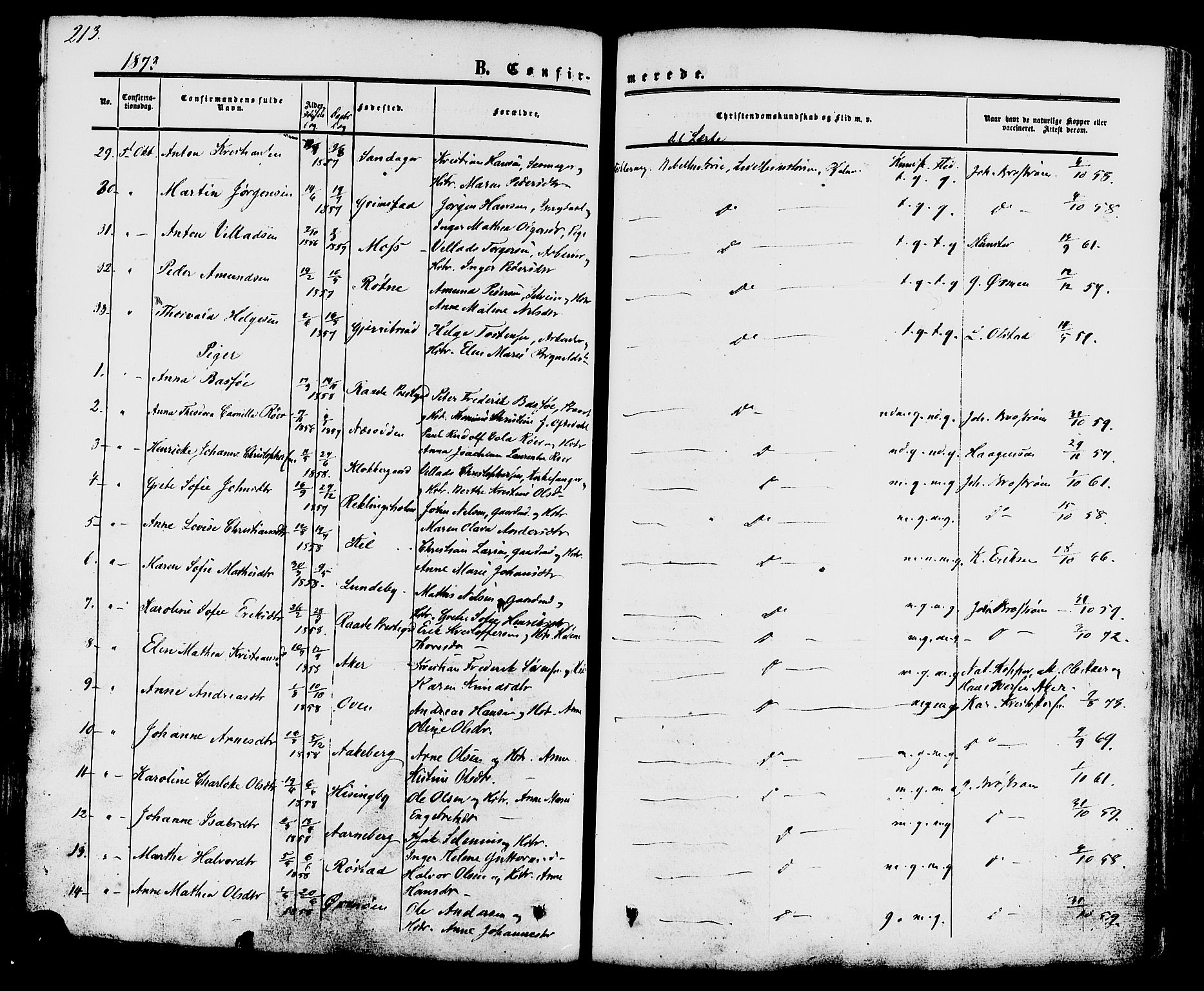 Råde prestekontor kirkebøker, AV/SAO-A-2009/F/Fa/L0006: Parish register (official) no. 6, 1854-1877, p. 213