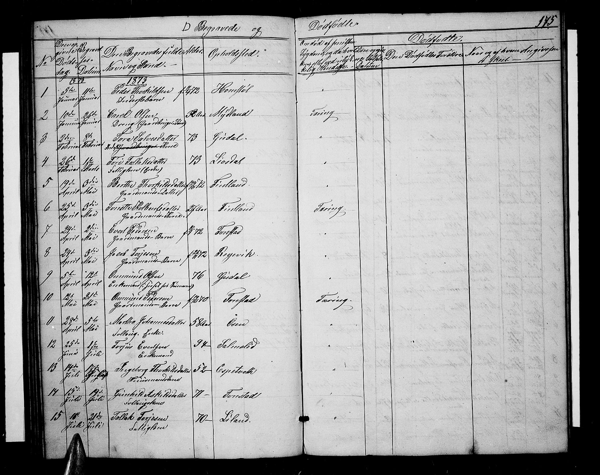 Sirdal sokneprestkontor, AV/SAK-1111-0036/F/Fb/Fbb/L0002: Parish register (copy) no. B 2, 1848-1878, p. 175