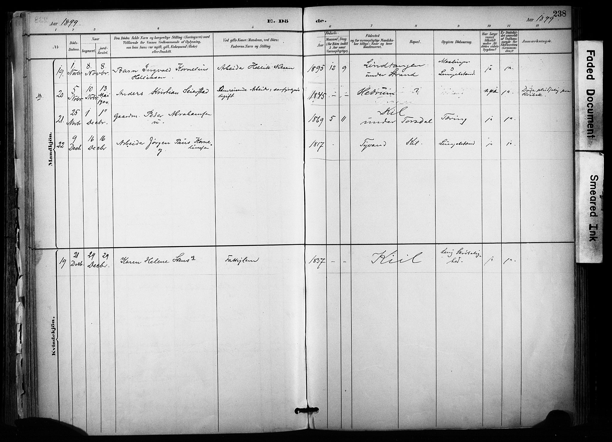 Sannidal kirkebøker, SAKO/A-296/F/Fa/L0015: Parish register (official) no. 15, 1884-1899, p. 238