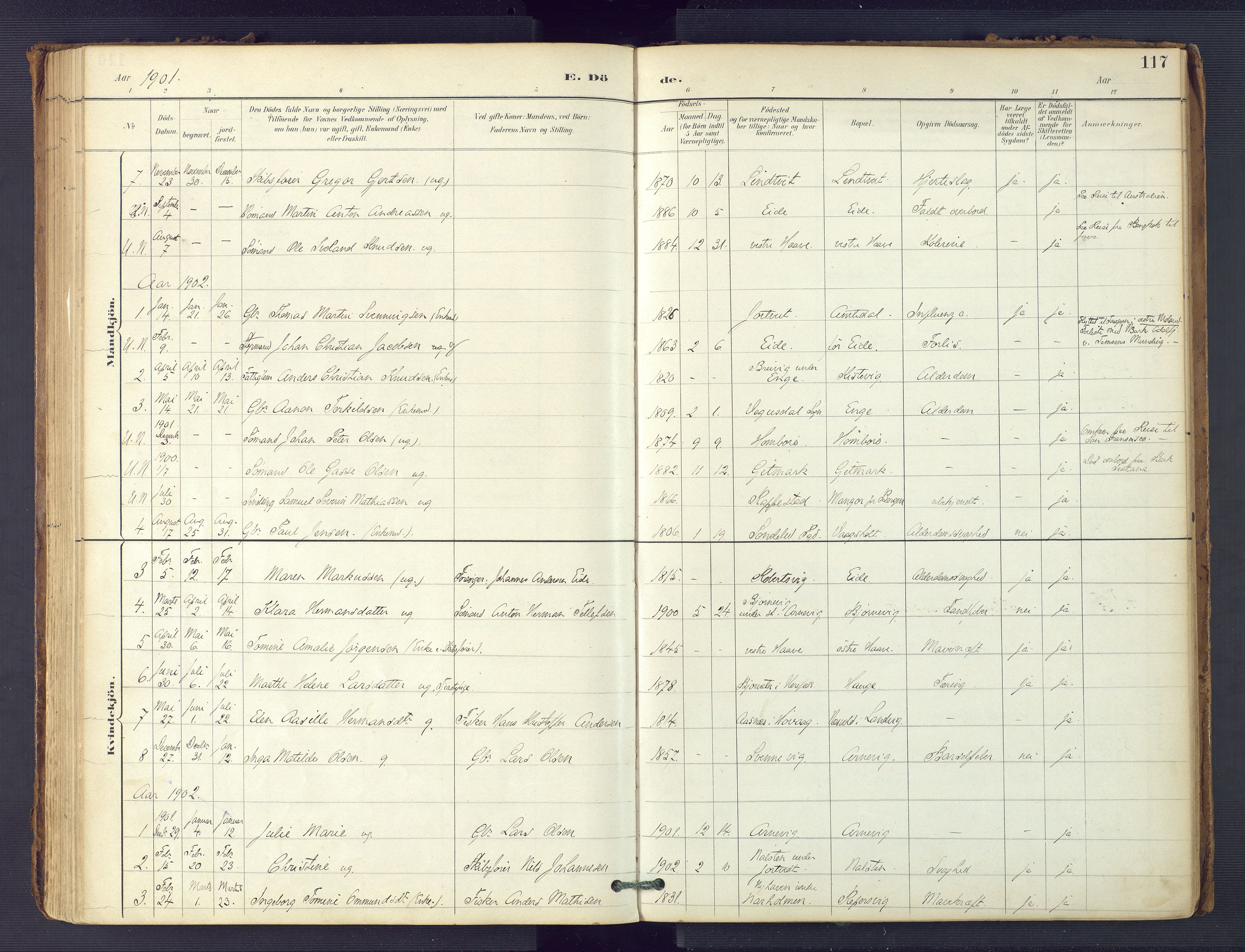 Hommedal sokneprestkontor, SAK/1111-0023/F/Fa/Faa/L0003: Parish register (official) no. A 3, 1885-1916, p. 117
