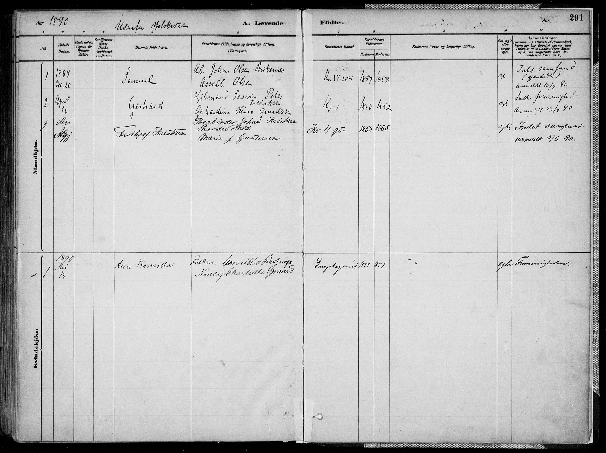 Kristiansand domprosti, SAK/1112-0006/F/Fa/L0016: Parish register (official) no. A 16A, 1880-1890, p. 291