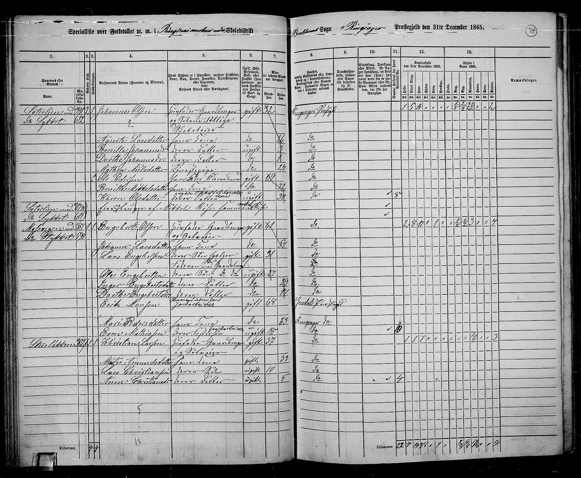 RA, 1865 census for Ringsaker, 1865, p. 330