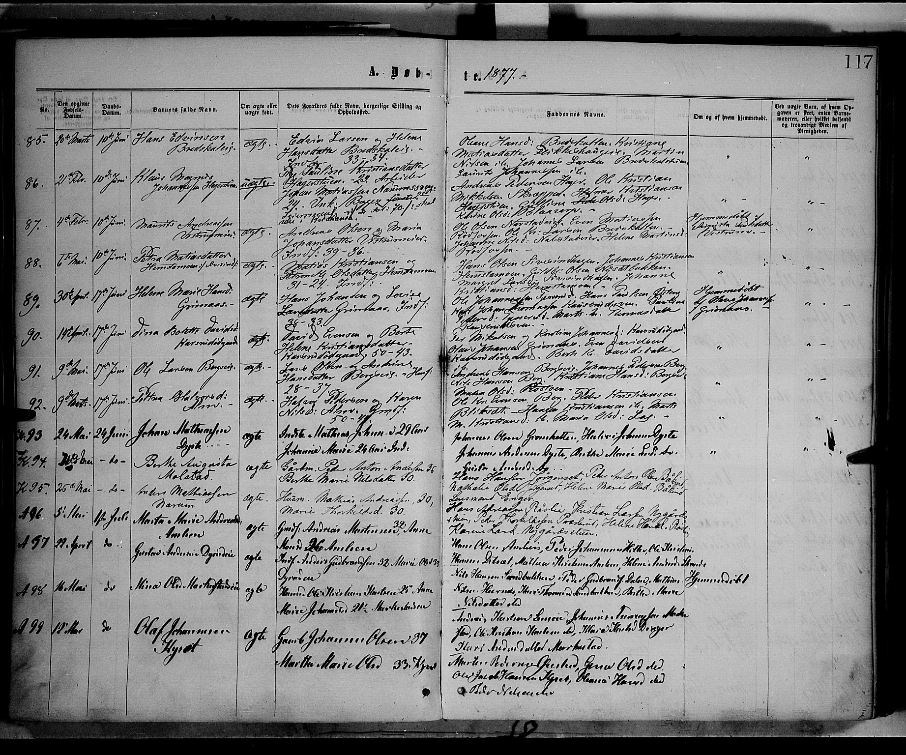 Vestre Toten prestekontor, AV/SAH-PREST-108/H/Ha/Haa/L0008: Parish register (official) no. 8, 1870-1877, p. 117