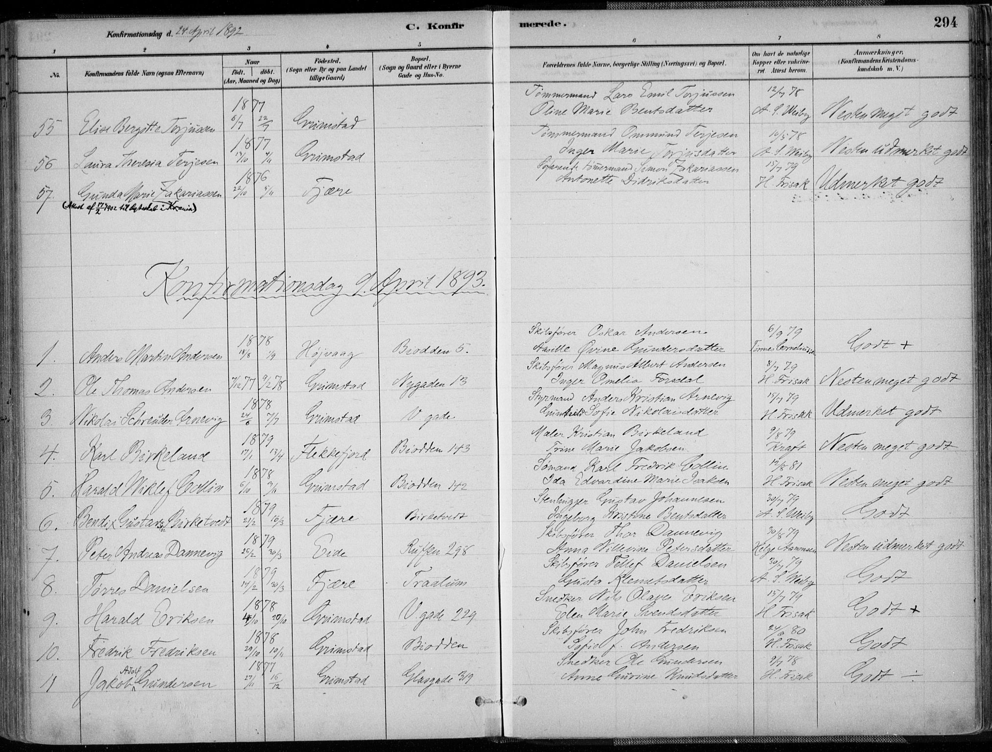 Grimstad sokneprestkontor, AV/SAK-1111-0017/F/Fa/L0003: Parish register (official) no. A 2, 1882-1912, p. 294