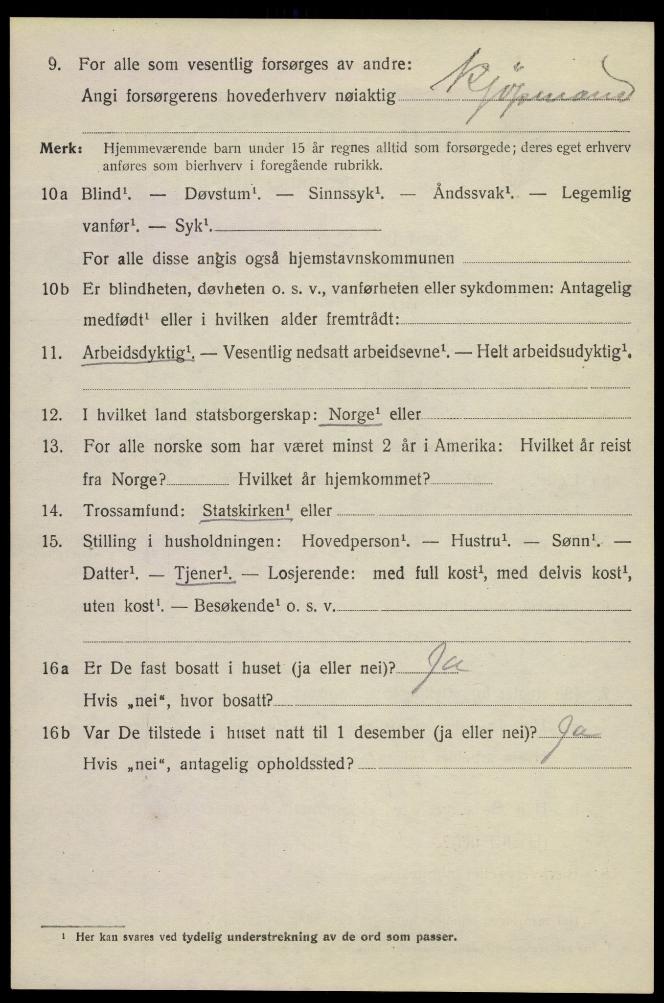 SAKO, 1920 census for Kragerø, 1920, p. 10024