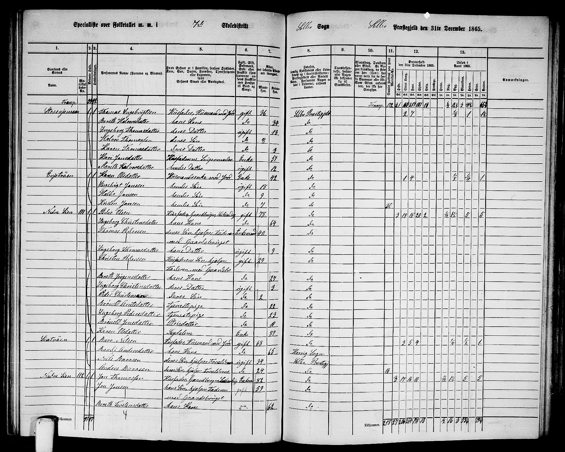 RA, 1865 census for Selbu, 1865, p. 122