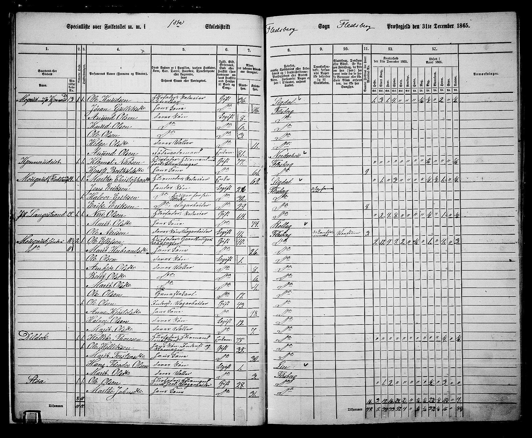 RA, 1865 census for Flesberg, 1865, p. 15