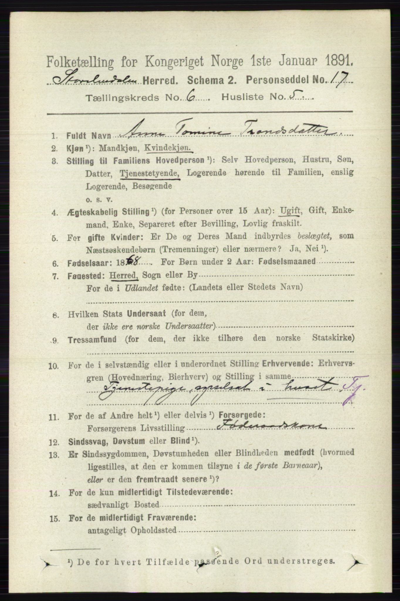 RA, 1891 census for 0430 Stor-Elvdal, 1891, p. 2160