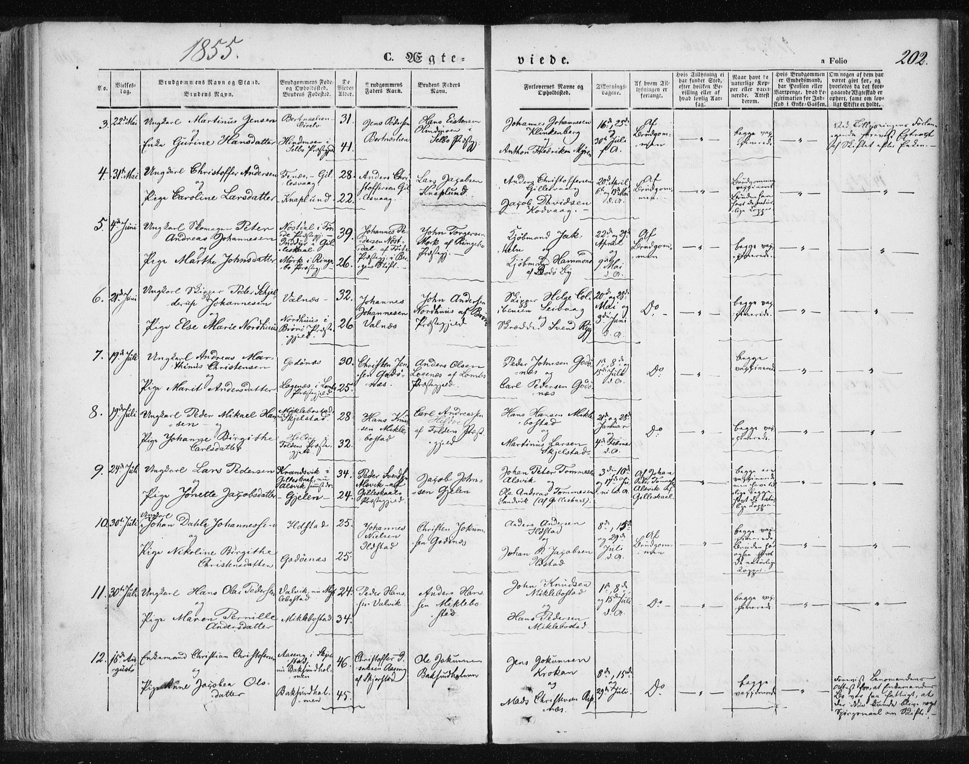 Ministerialprotokoller, klokkerbøker og fødselsregistre - Nordland, AV/SAT-A-1459/801/L0007: Parish register (official) no. 801A07, 1845-1863, p. 202