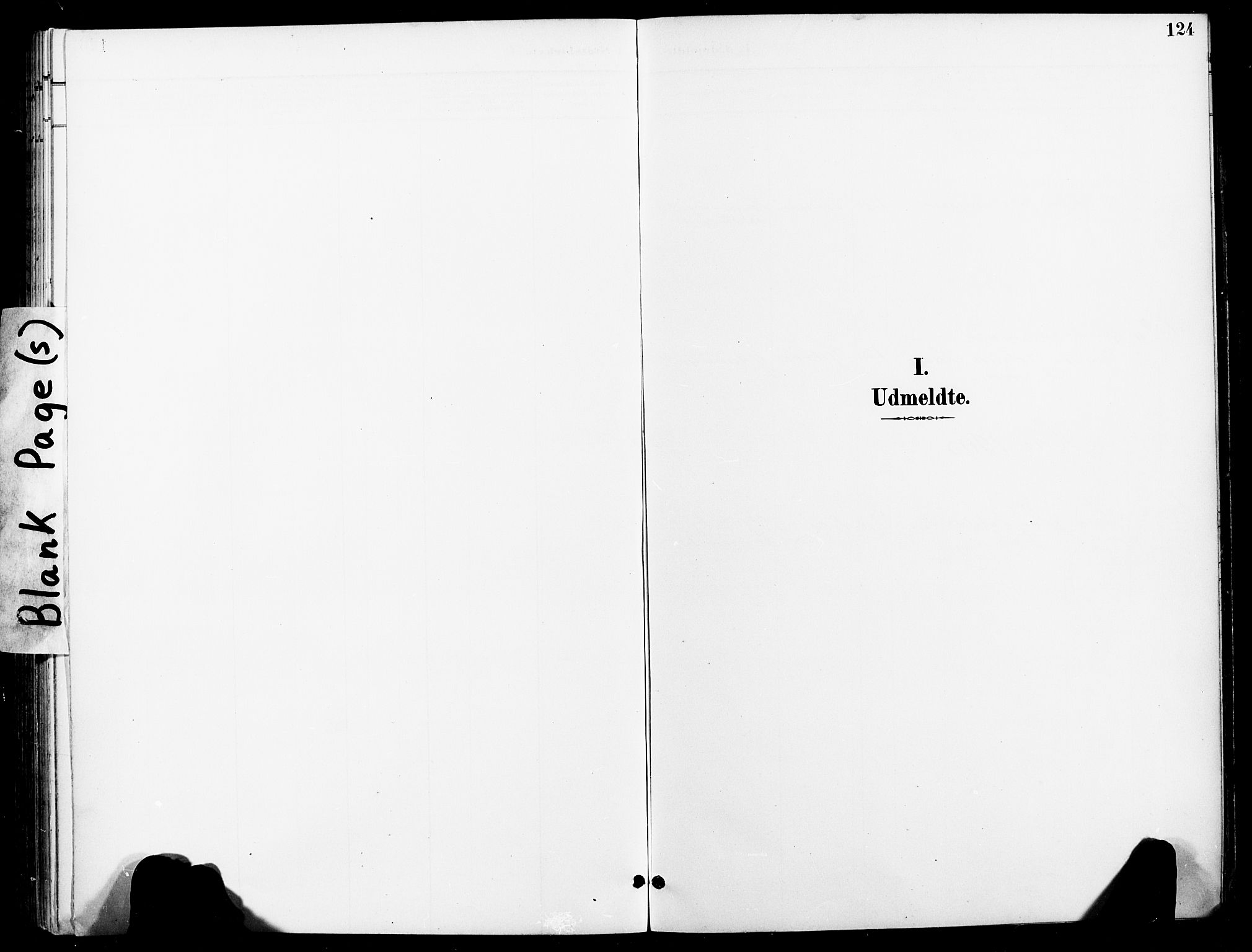 Ministerialprotokoller, klokkerbøker og fødselsregistre - Nord-Trøndelag, SAT/A-1458/740/L0379: Parish register (official) no. 740A02, 1895-1907, p. 124