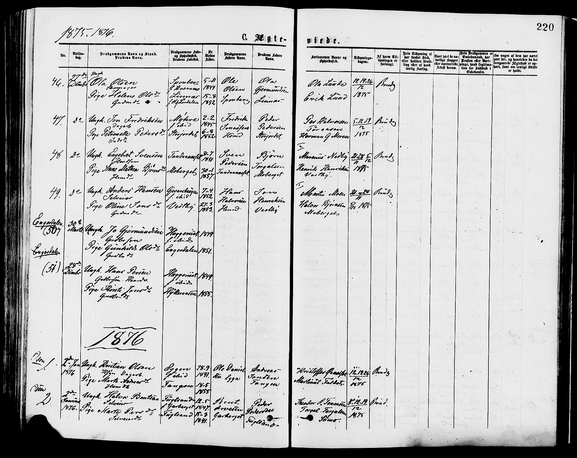 Trysil prestekontor, AV/SAH-PREST-046/H/Ha/Haa/L0007: Parish register (official) no. 7, 1874-1880, p. 220