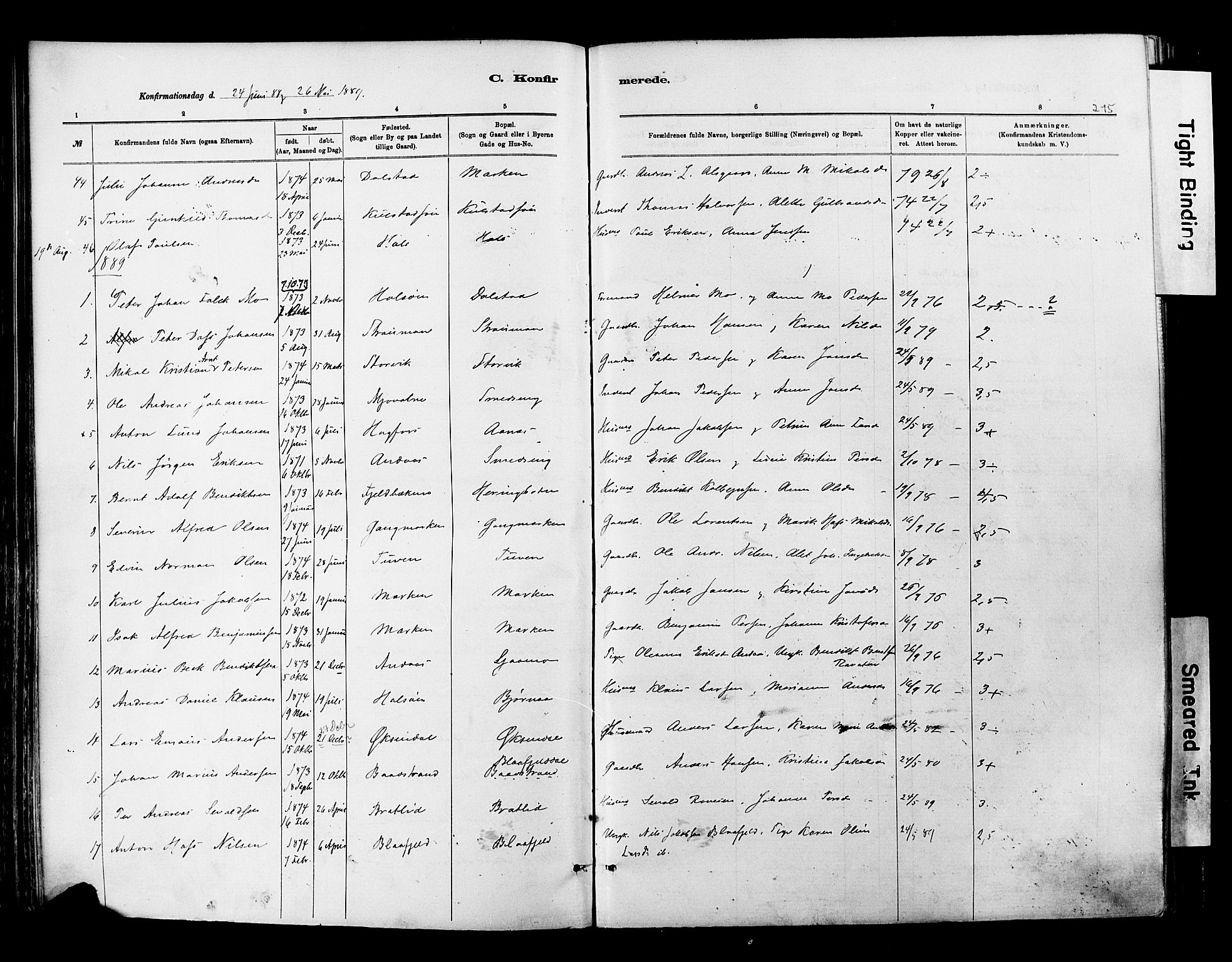 Ministerialprotokoller, klokkerbøker og fødselsregistre - Nordland, AV/SAT-A-1459/820/L0295: Parish register (official) no. 820A16, 1880-1896, p. 215