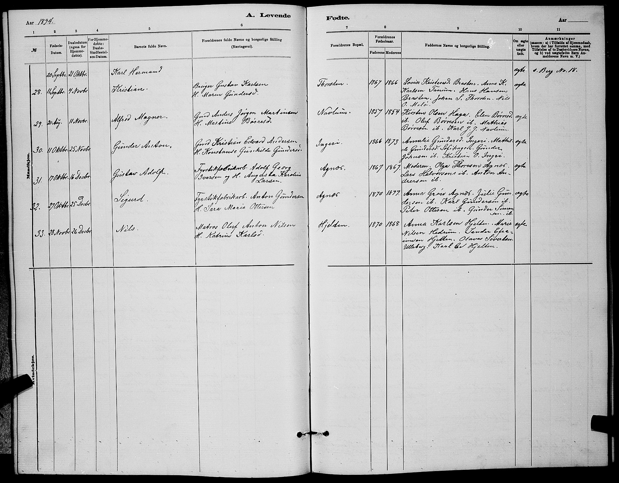 Brunlanes kirkebøker, AV/SAKO-A-342/G/Ga/L0003: Parish register (copy) no. I 3, 1877-1898