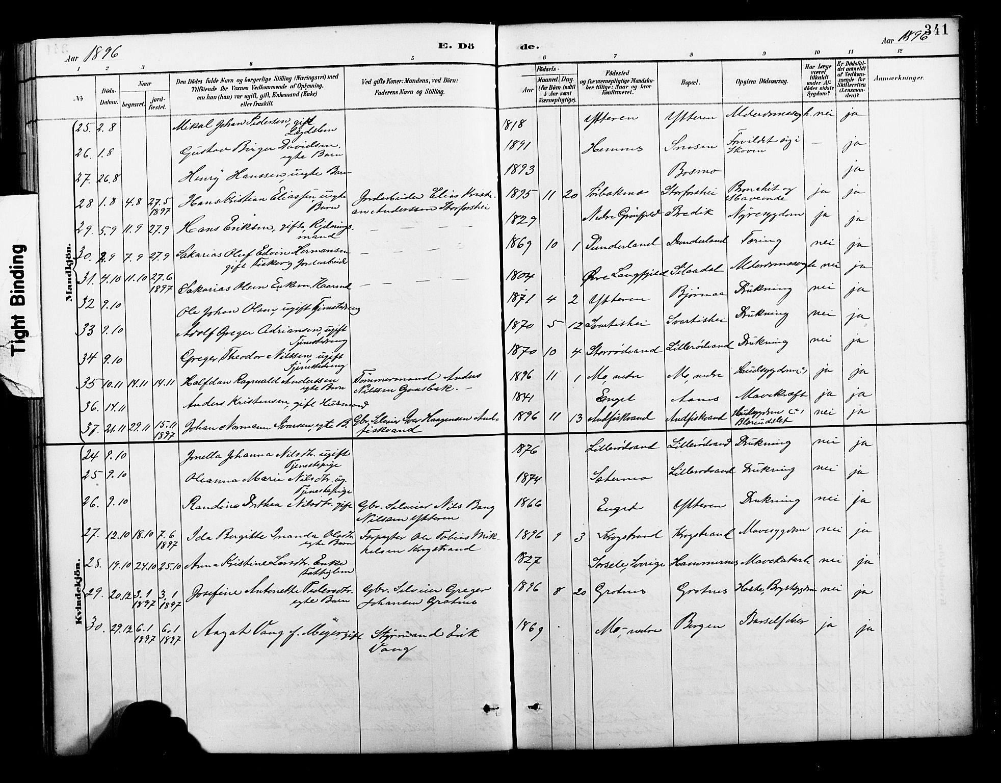 Ministerialprotokoller, klokkerbøker og fødselsregistre - Nordland, AV/SAT-A-1459/827/L0421: Parish register (copy) no. 827C10, 1887-1906, p. 341