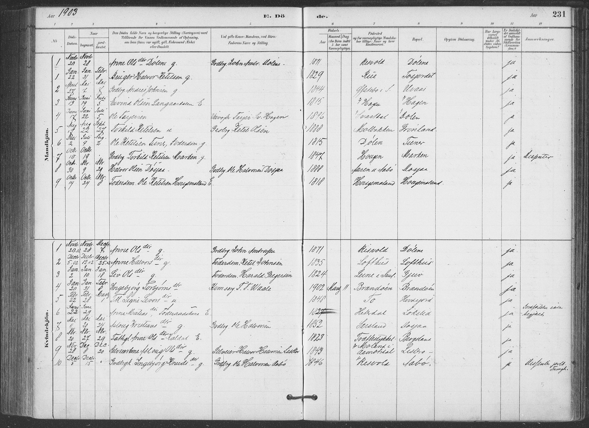 Hjartdal kirkebøker, SAKO/A-270/F/Fa/L0010: Parish register (official) no. I 10, 1880-1929, p. 231