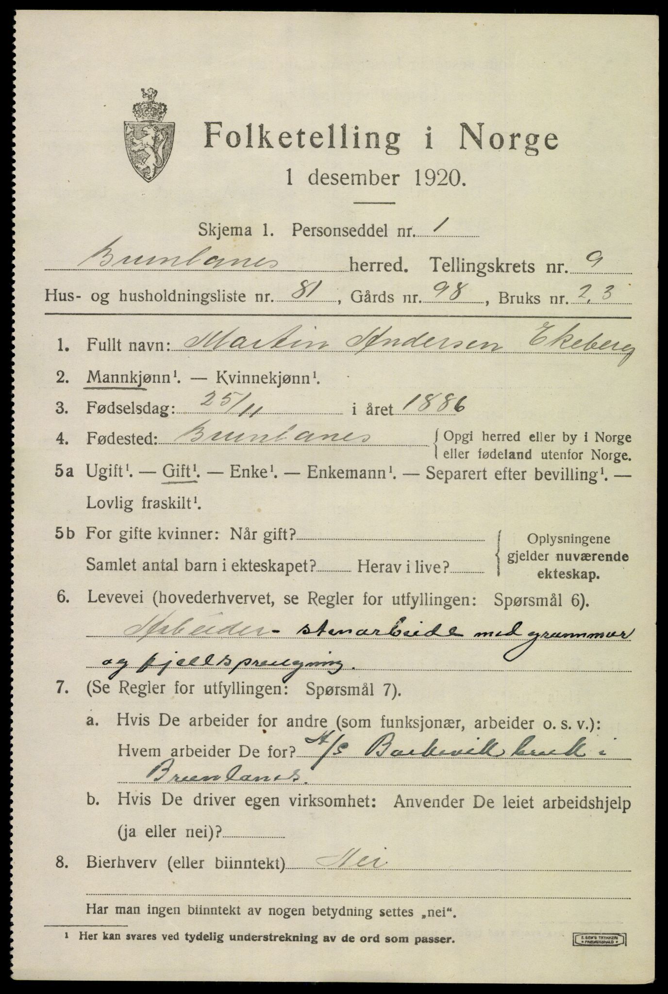SAKO, 1920 census for Brunlanes, 1920, p. 8595