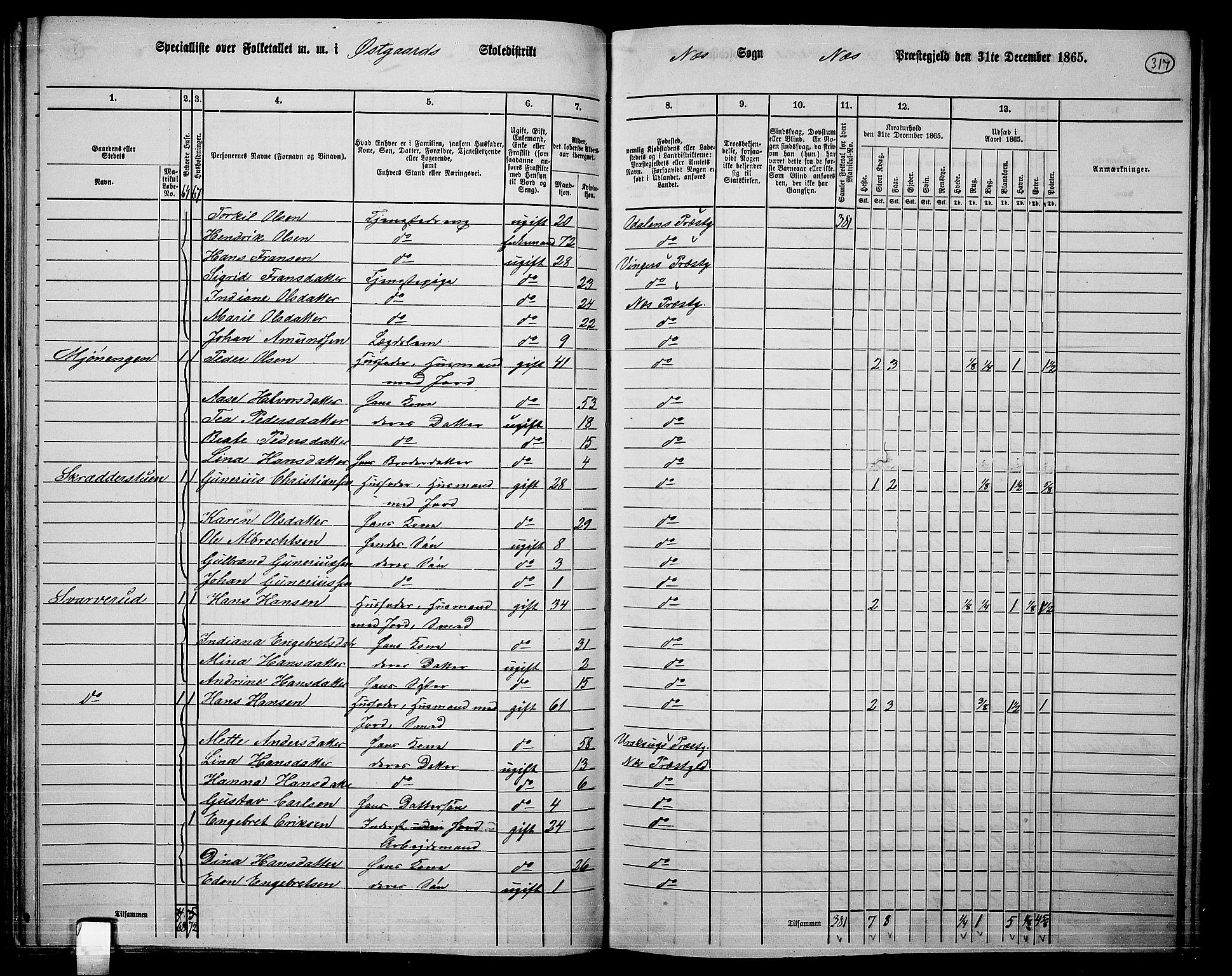 RA, 1865 census for Nes, 1865, p. 292