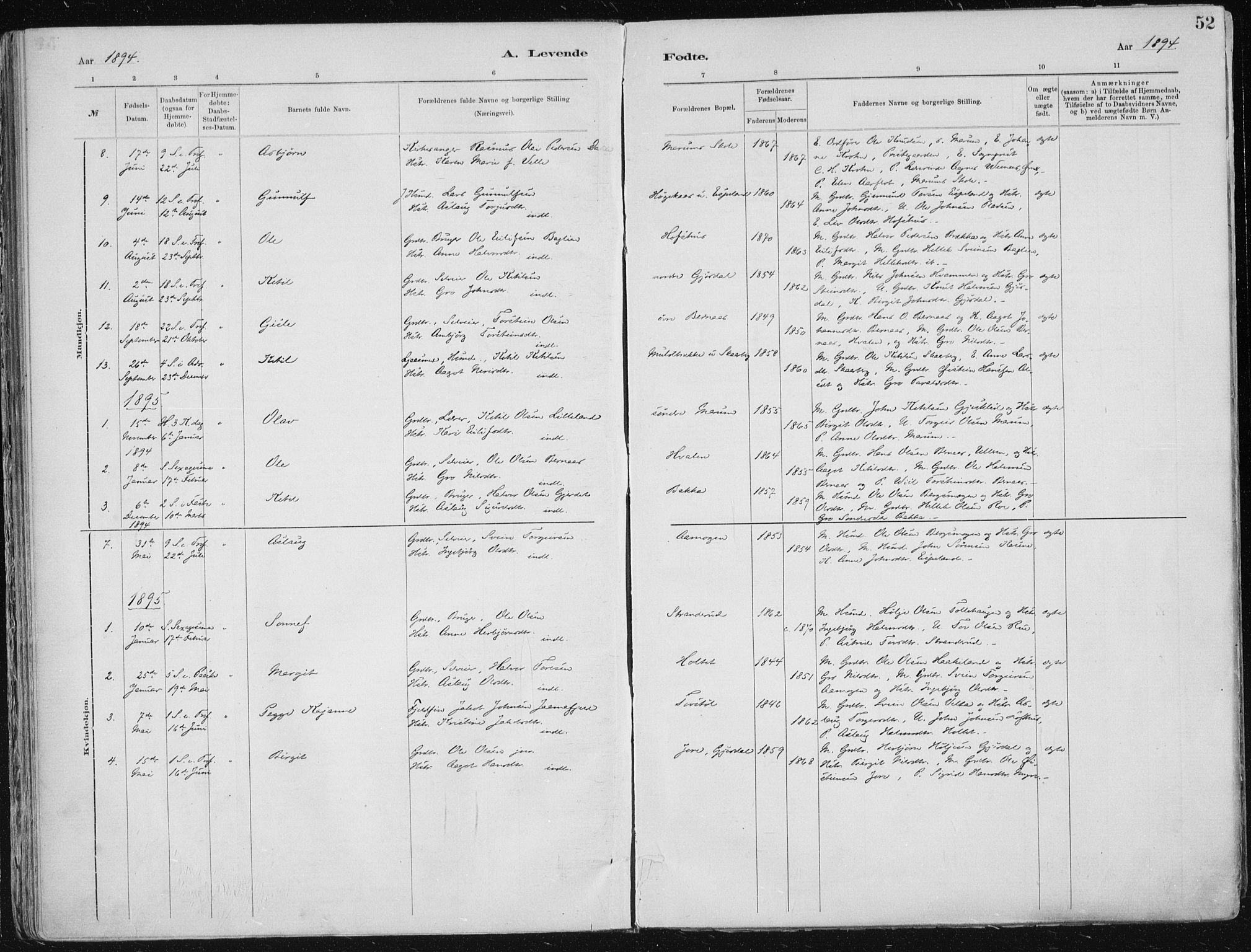 Tinn kirkebøker, SAKO/A-308/F/Fa/L0007: Parish register (official) no. I 7, 1878-1922, p. 52