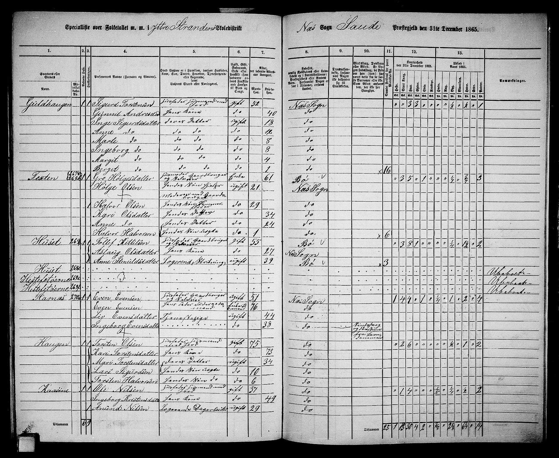 RA, 1865 census for Sauherad, 1865, p. 163