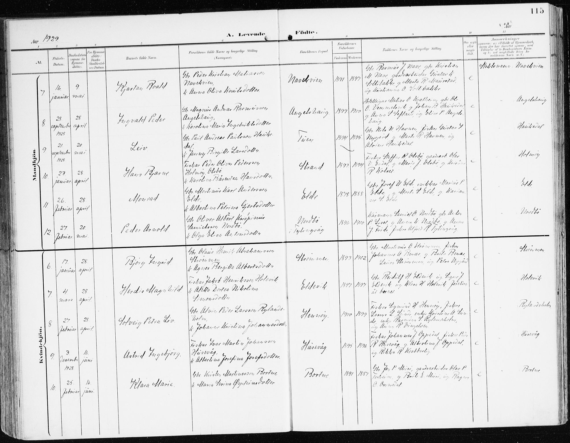 Davik sokneprestembete, AV/SAB-A-79701/H/Haa/Haad/L0002: Parish register (official) no. D 2, 1901-1930, p. 115