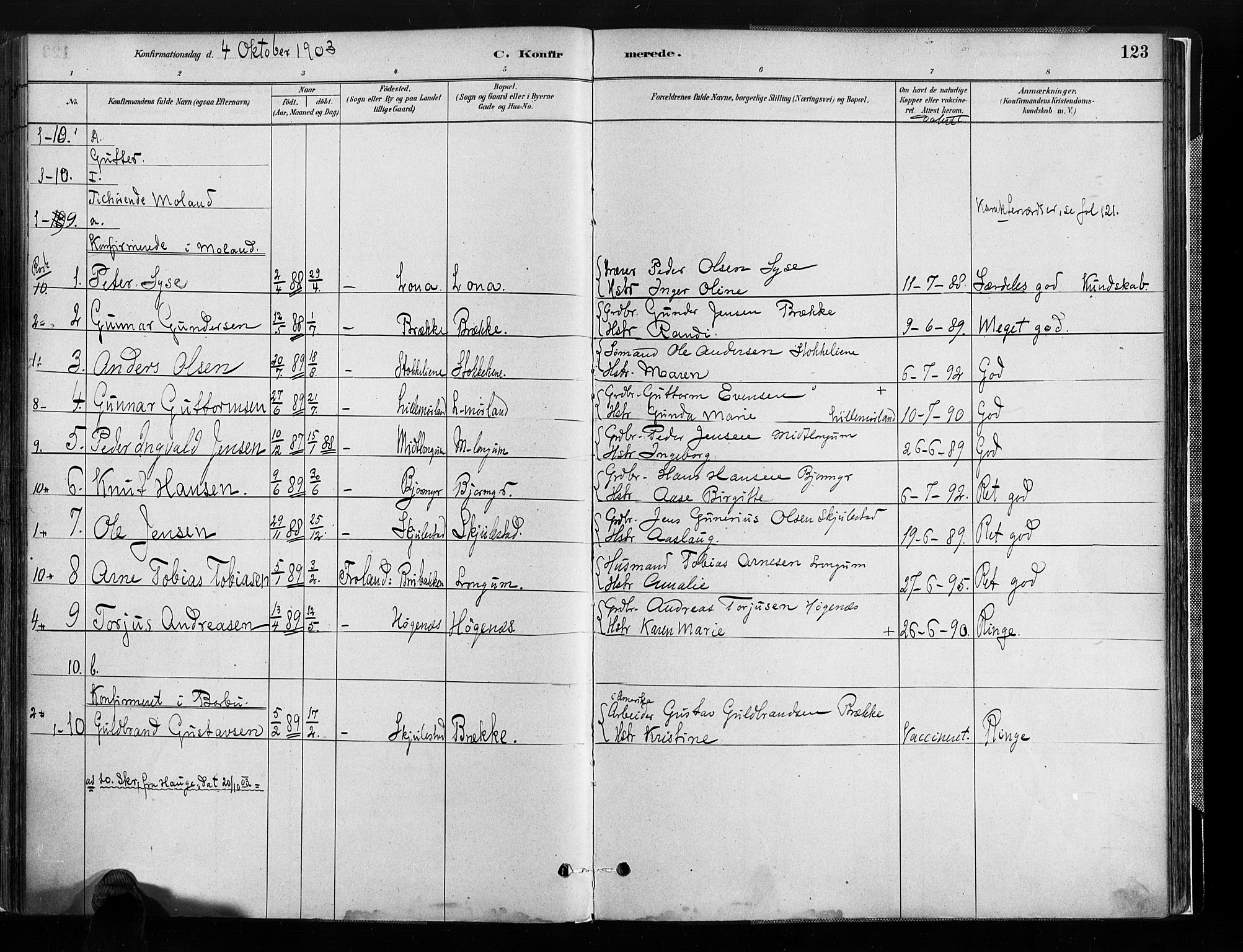 Austre Moland sokneprestkontor, AV/SAK-1111-0001/F/Fa/Faa/L0010: Parish register (official) no. A 10, 1880-1904, p. 123