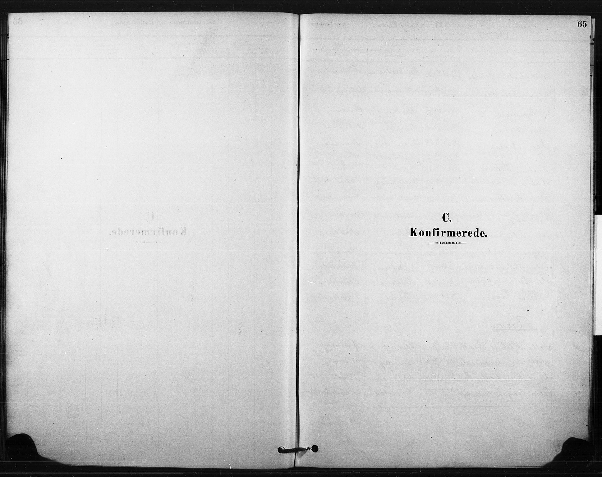 Eiker kirkebøker, SAKO/A-4/F/Fc/L0001: Parish register (official) no. III 1, 1878-1889, p. 65