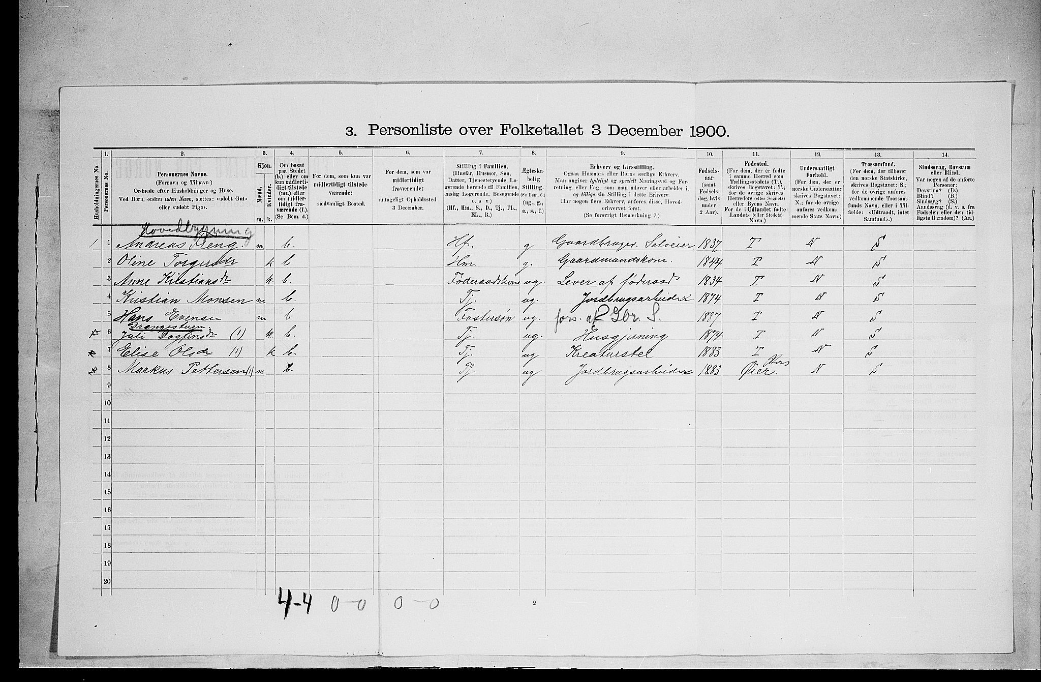 SAH, 1900 census for Ringsaker, 1900, p. 3117