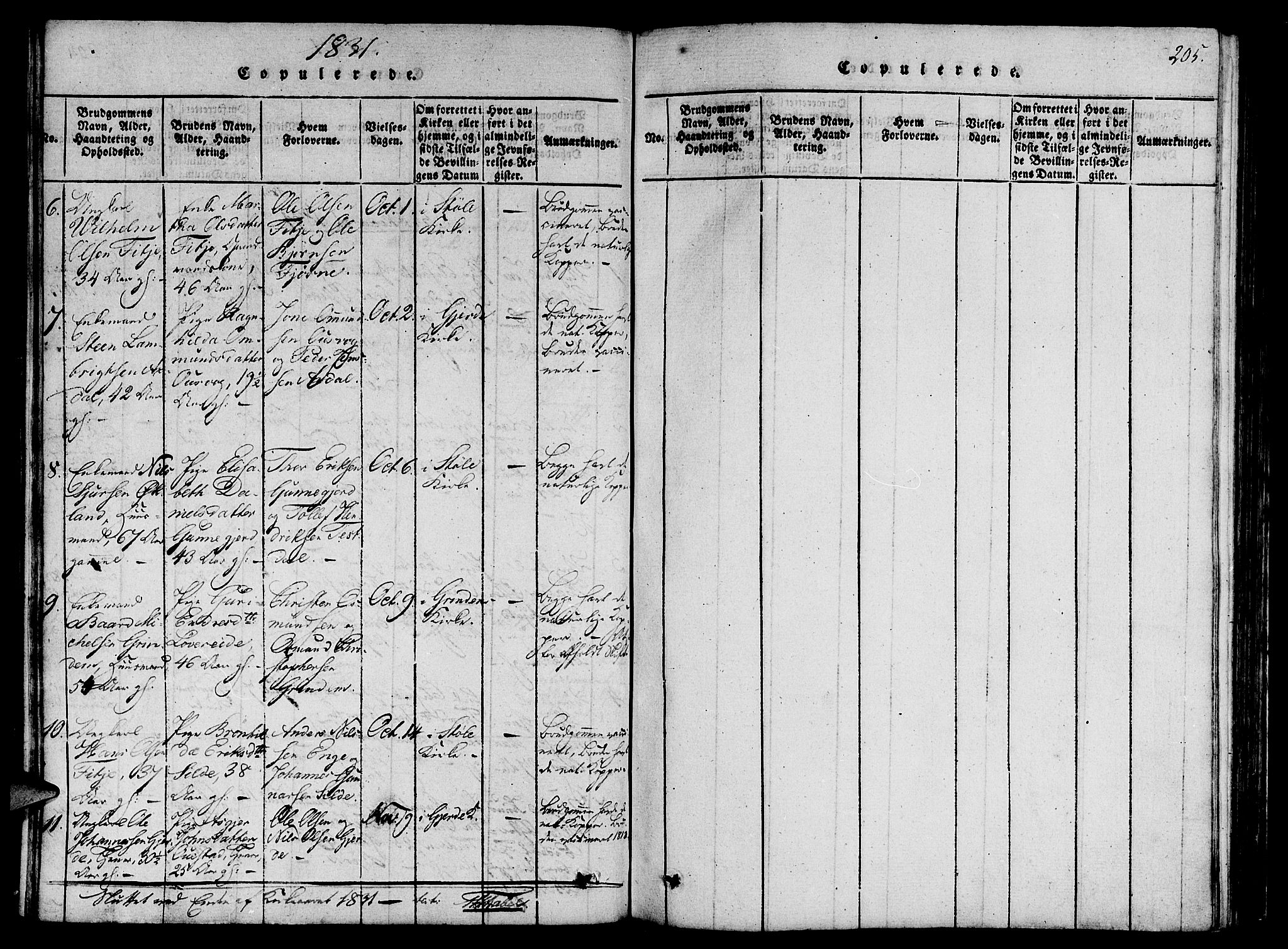 Etne sokneprestembete, AV/SAB-A-75001/H/Haa: Parish register (official) no. A 6, 1815-1831, p. 205