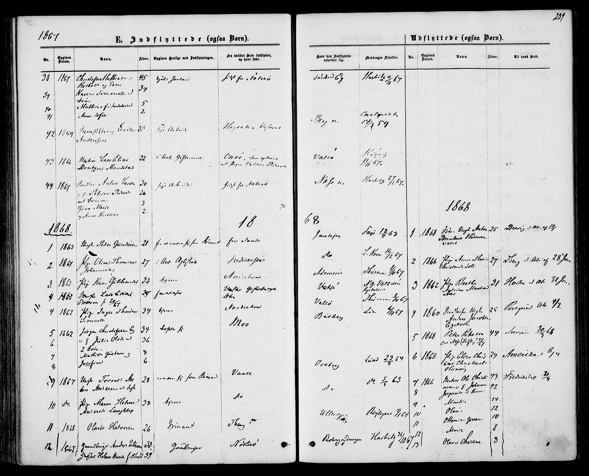 Sem kirkebøker, AV/SAKO-A-5/F/Fa/L0008: Parish register (official) no. I 8, 1866-1873, p. 239