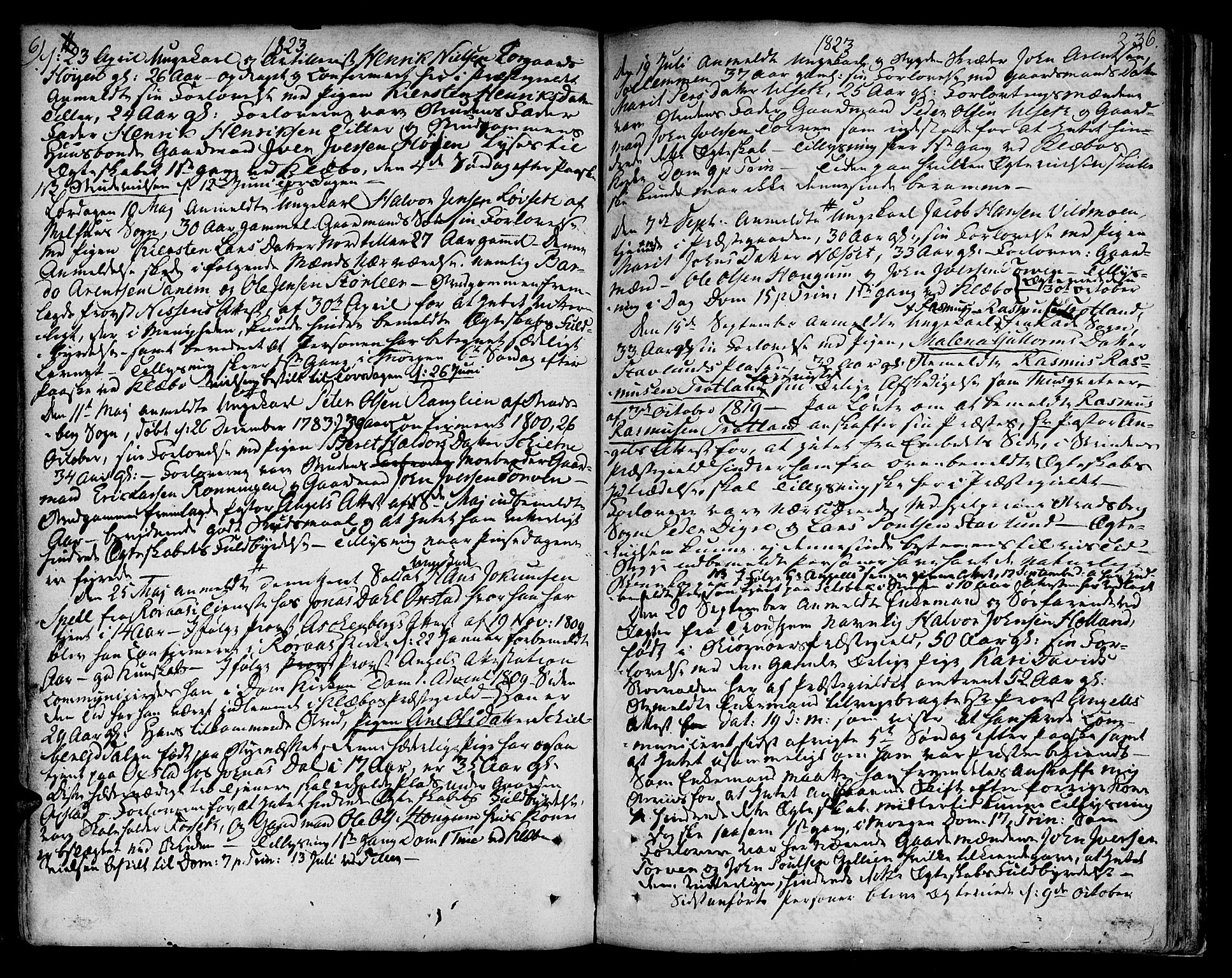 Ministerialprotokoller, klokkerbøker og fødselsregistre - Sør-Trøndelag, SAT/A-1456/618/L0438: Parish register (official) no. 618A03, 1783-1815, p. 236