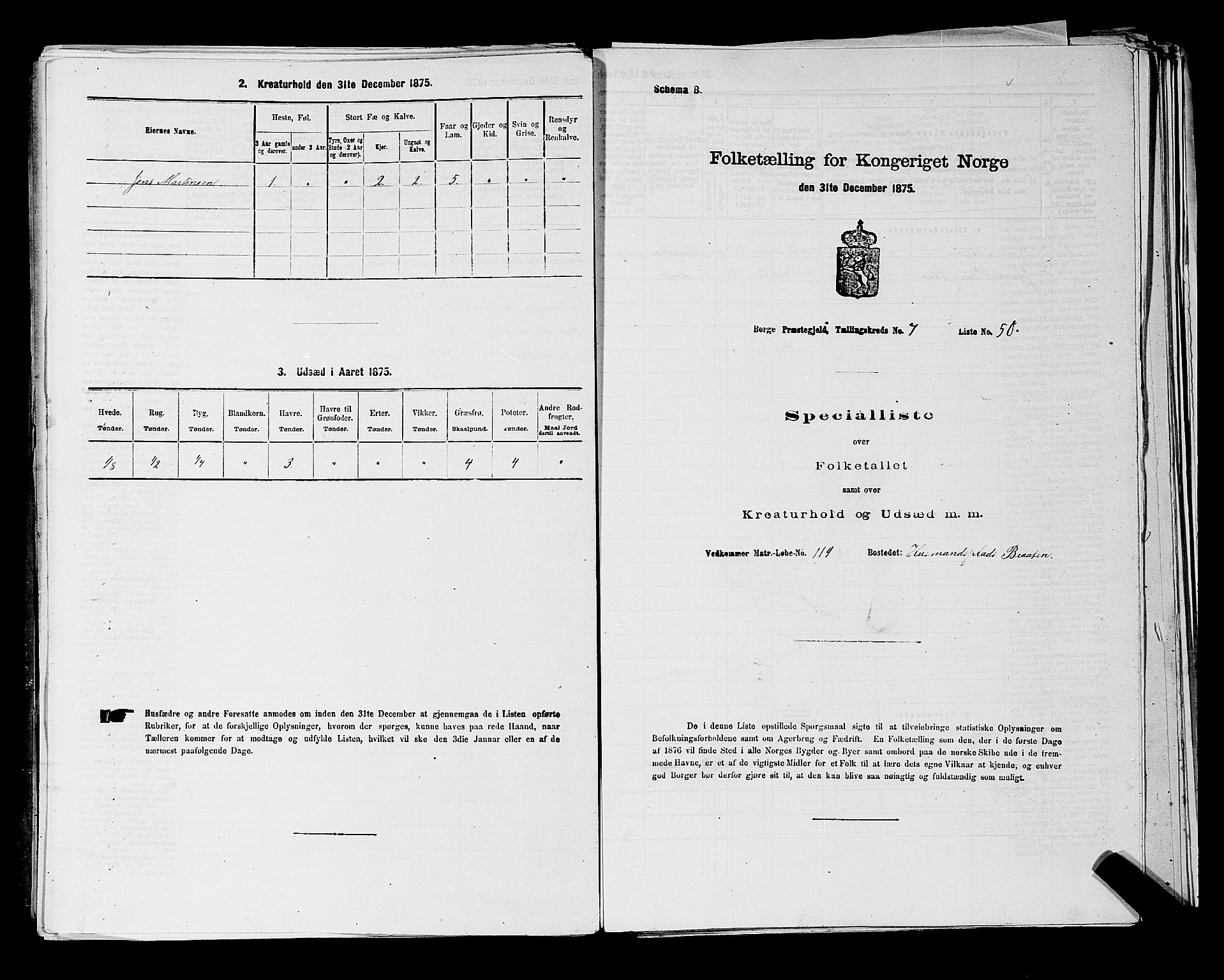 RA, 1875 census for 0113P Borge, 1875, p. 1093