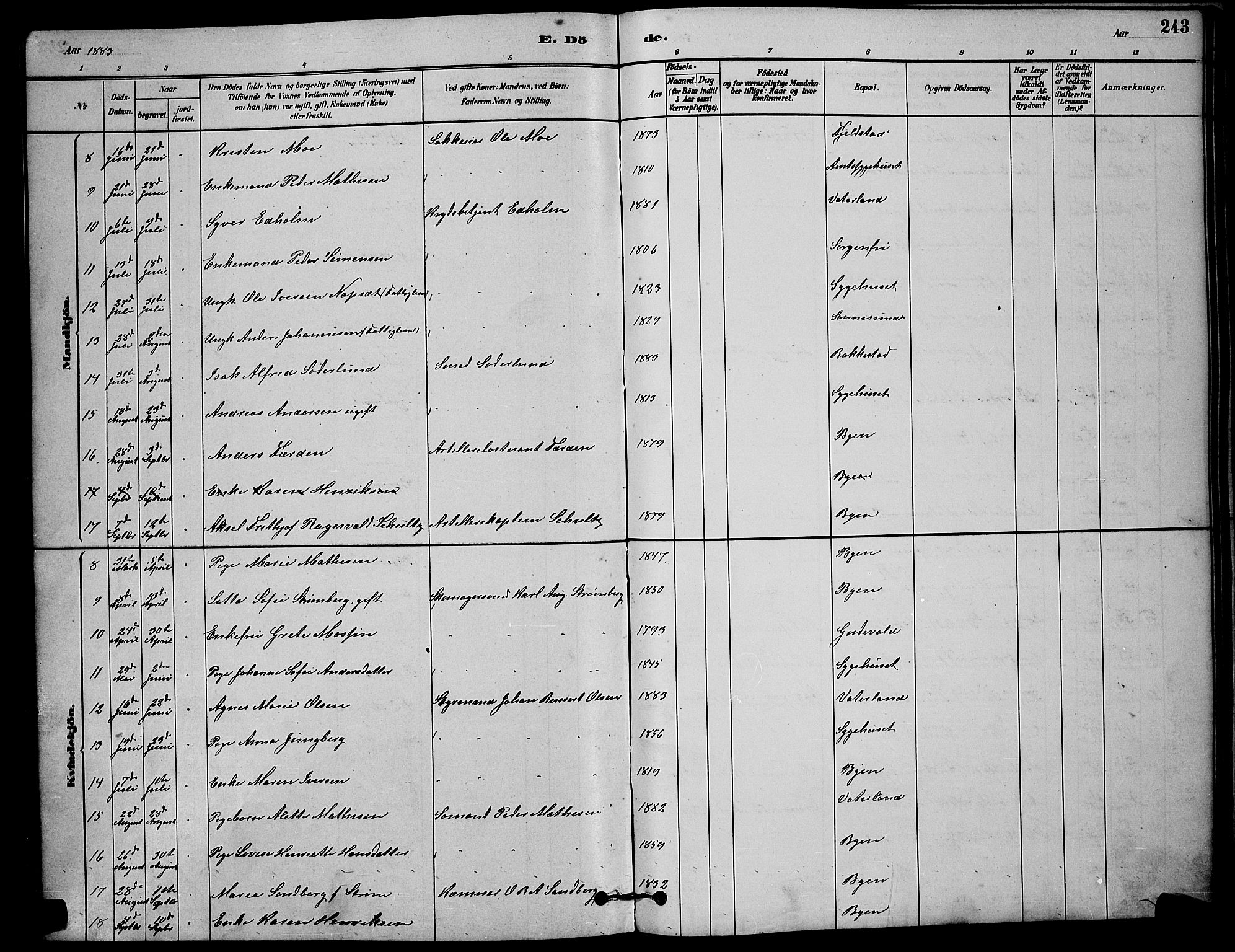 Østre Fredrikstad prestekontor Kirkebøker, AV/SAO-A-10907/G/Ga/L0001: Parish register (copy) no. 1, 1880-1899, p. 243