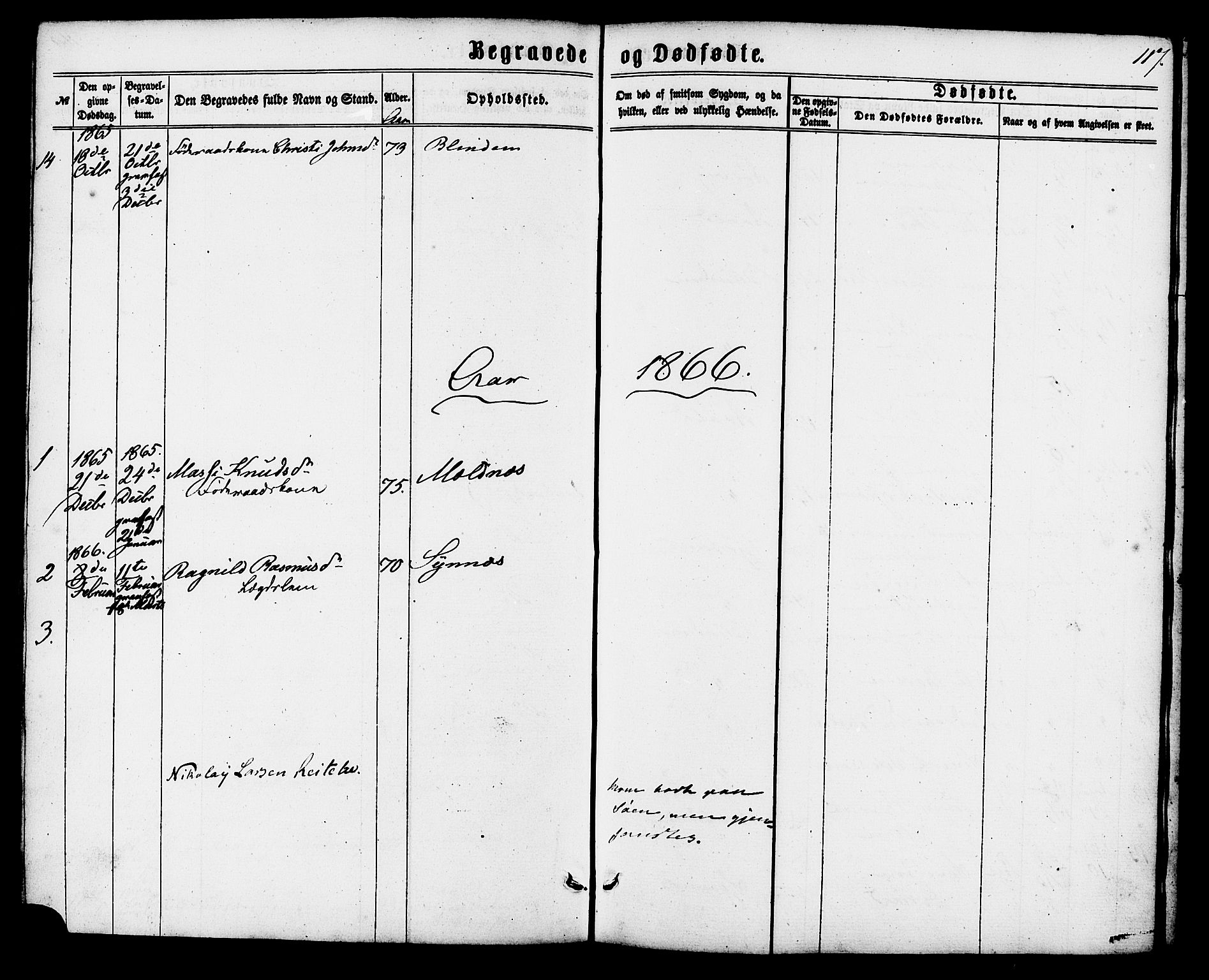 Ministerialprotokoller, klokkerbøker og fødselsregistre - Møre og Romsdal, SAT/A-1454/537/L0518: Parish register (official) no. 537A02, 1862-1876, p. 117